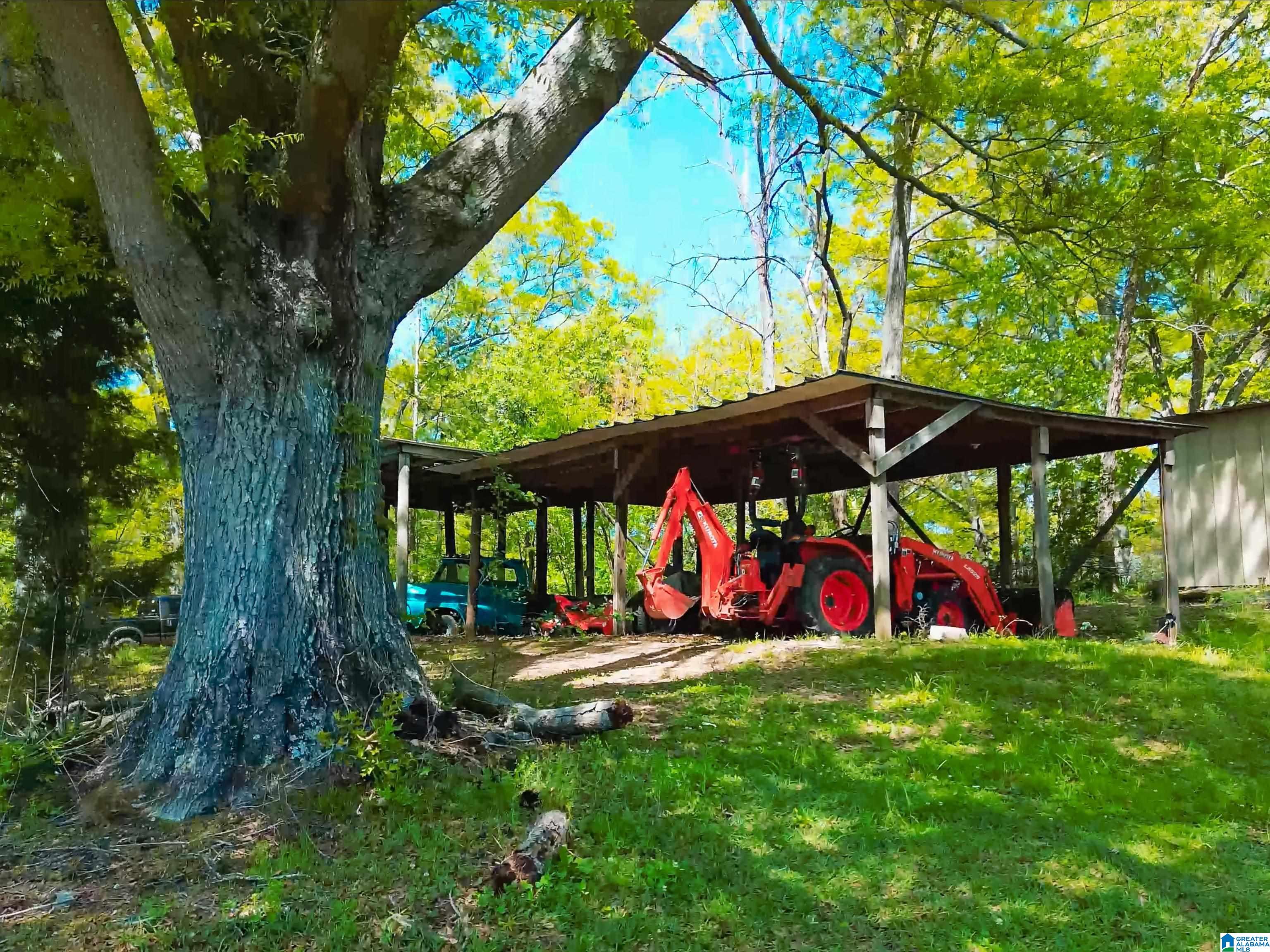 3315 Old Birmingham Highway Property Photo 3