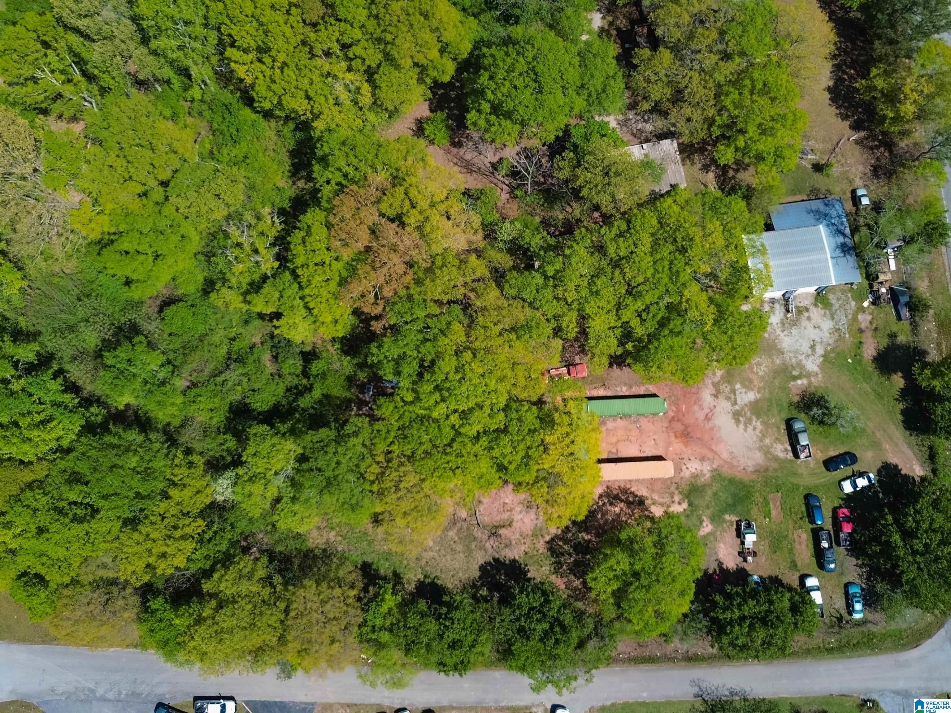 3315 Old Birmingham Highway Property Photo 5