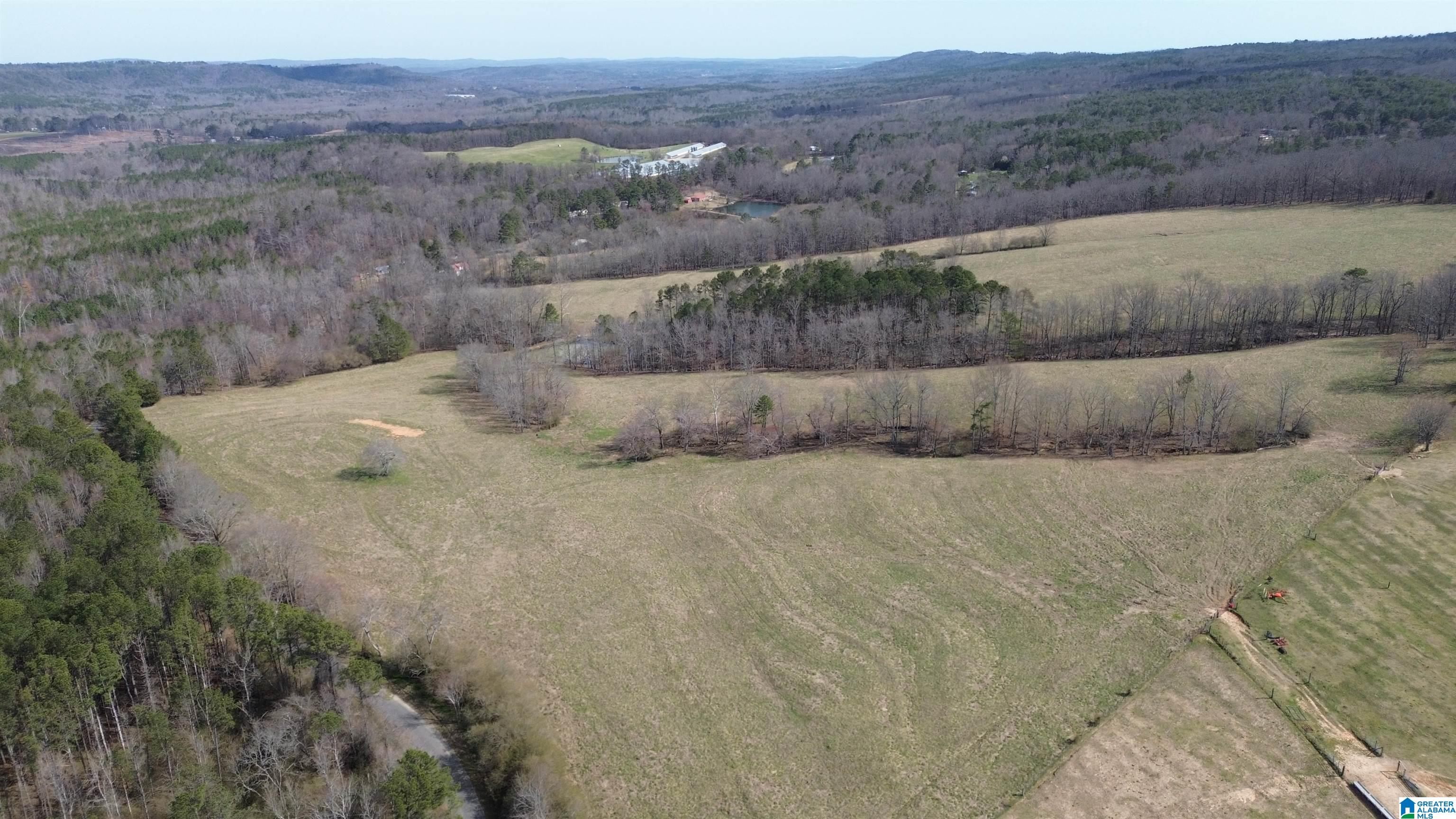 1404 Burton Loop Road Property Photo 1