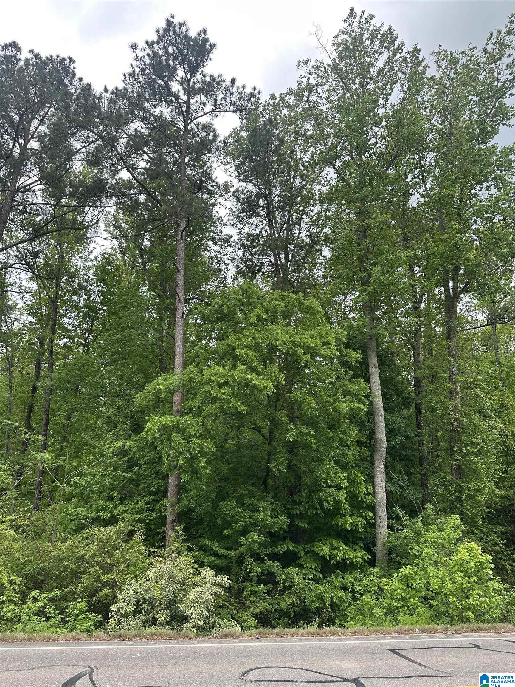 0 Highway 174 Property Photo