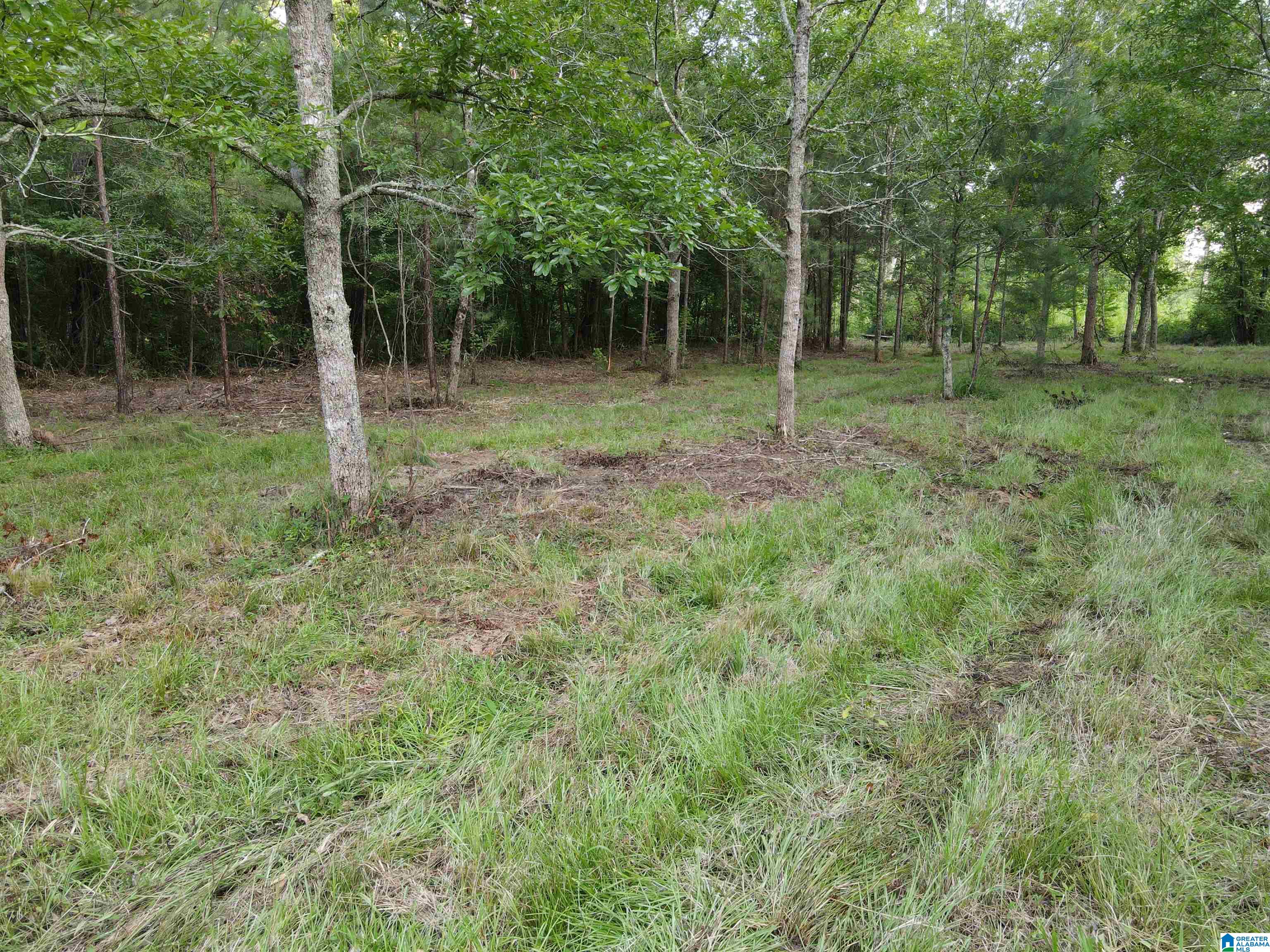 0000 Al Highway 22 Property Photo 1