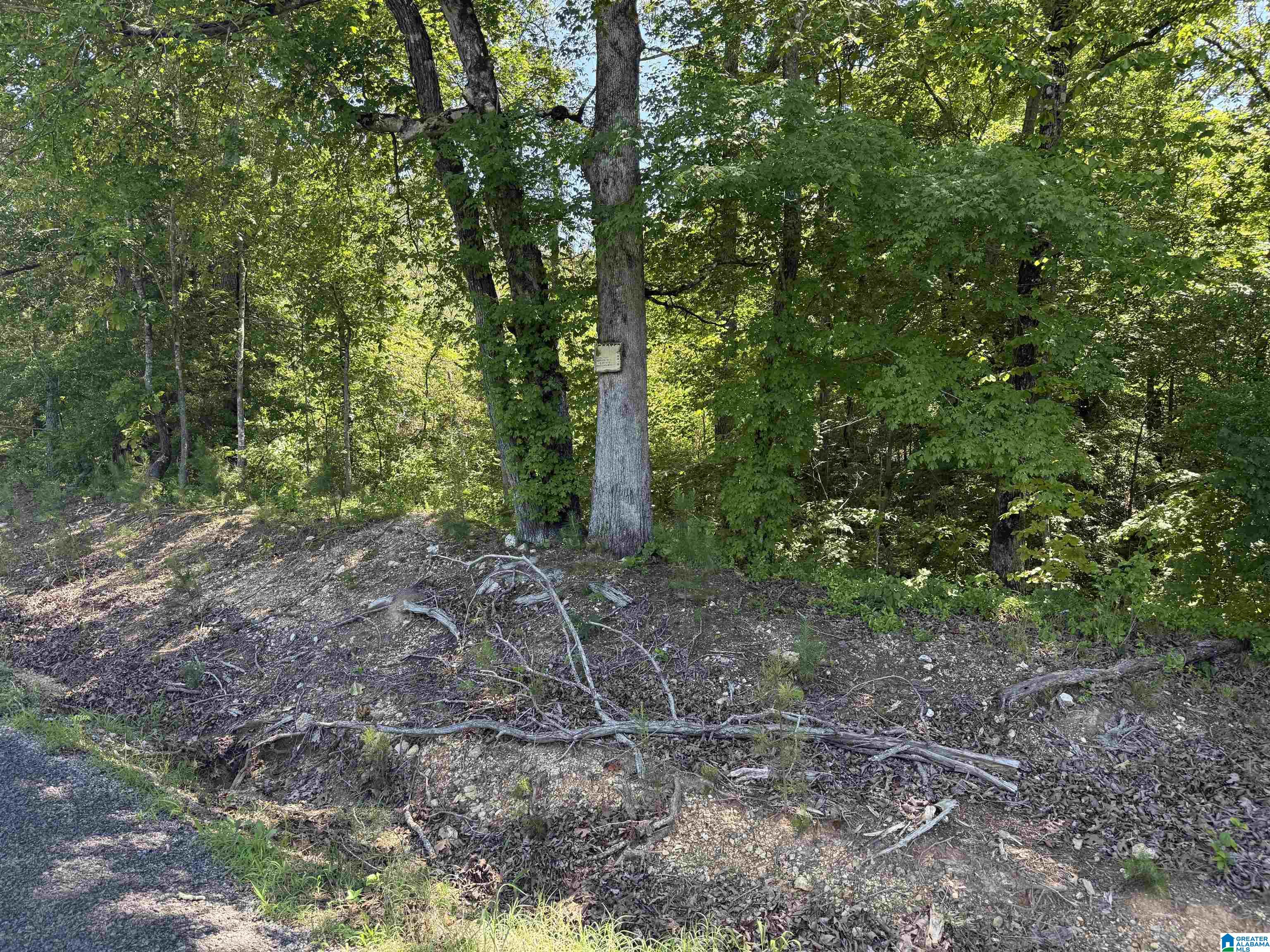 0 Murdock Road Property Photo 1