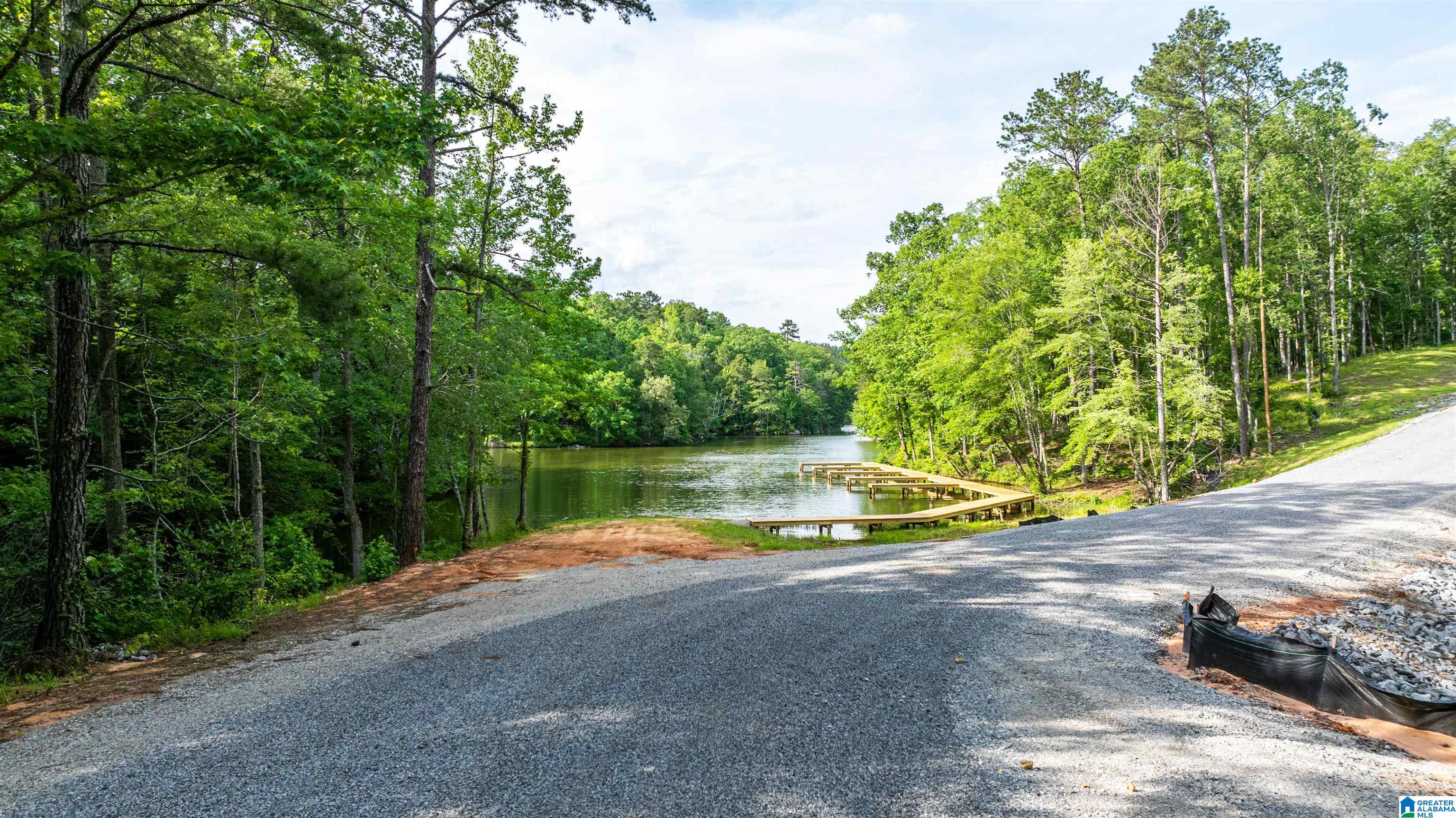 0 Will Black Hollow Road Property Photo 1