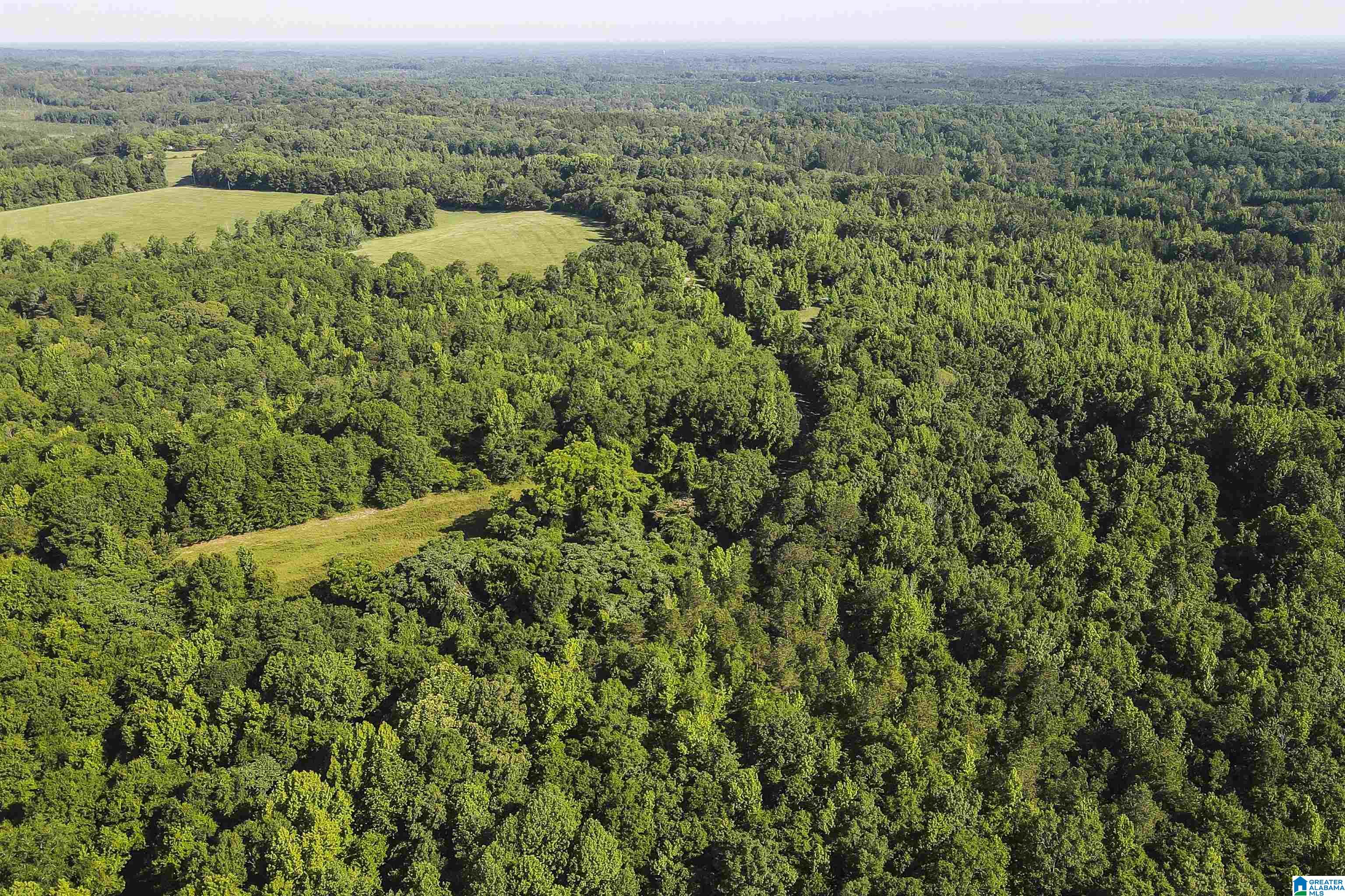 5248 COUNTY ROAD 14