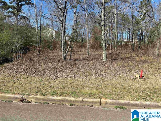 1 Summit Ridge Way Property Photo 1