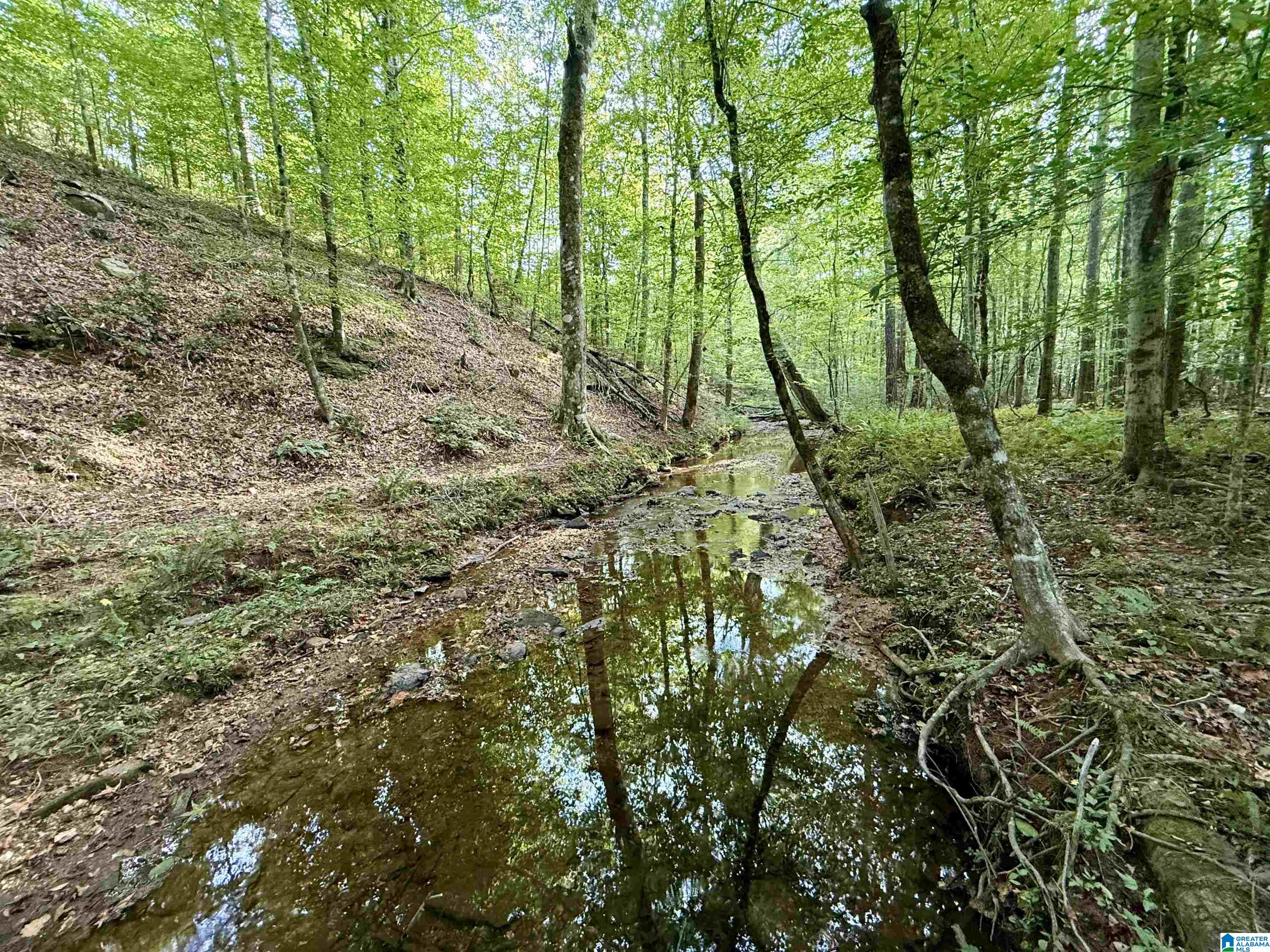 0 Valley Road Property Photo 1