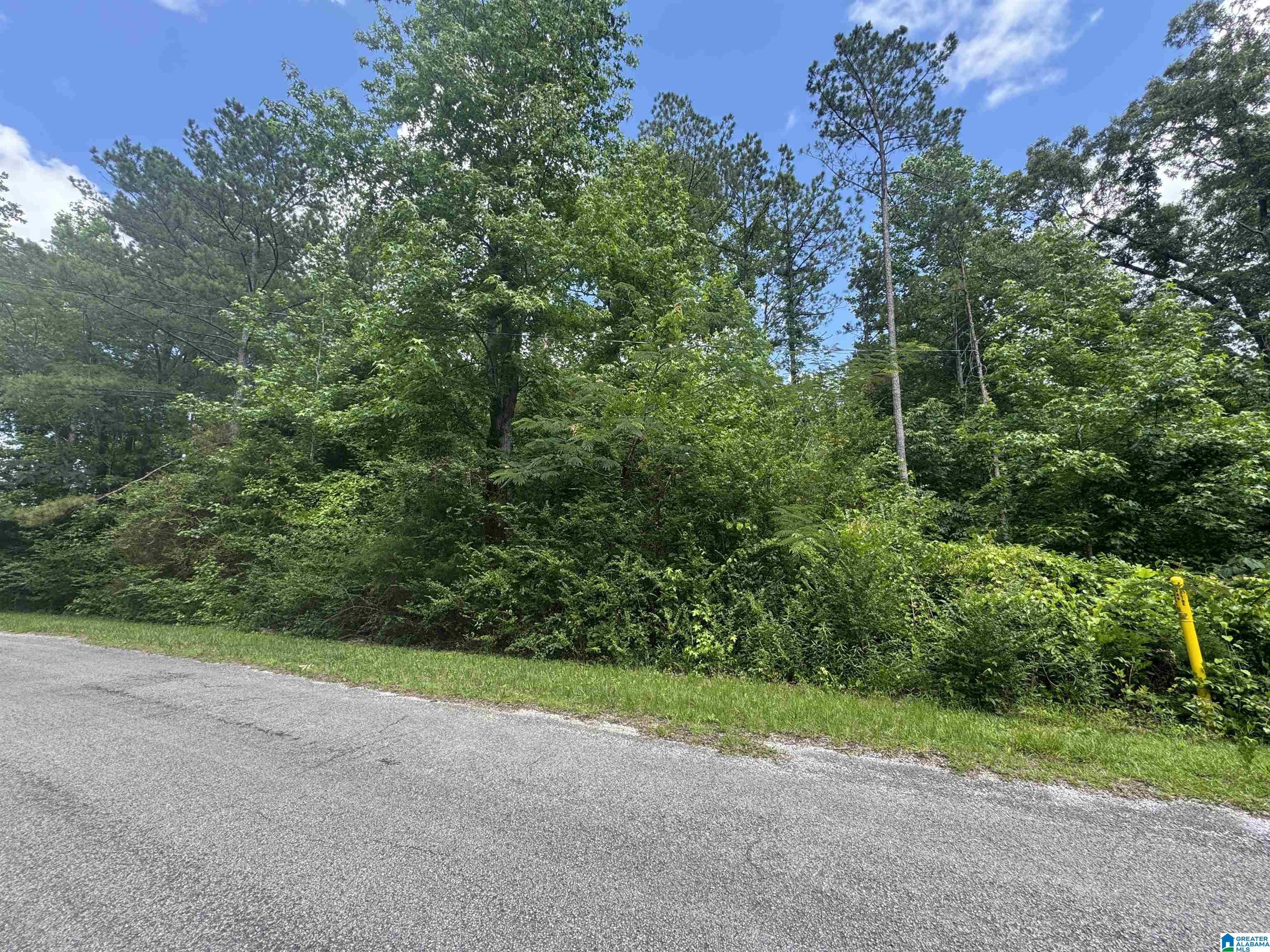 0 County Road 88 Property Photo 1