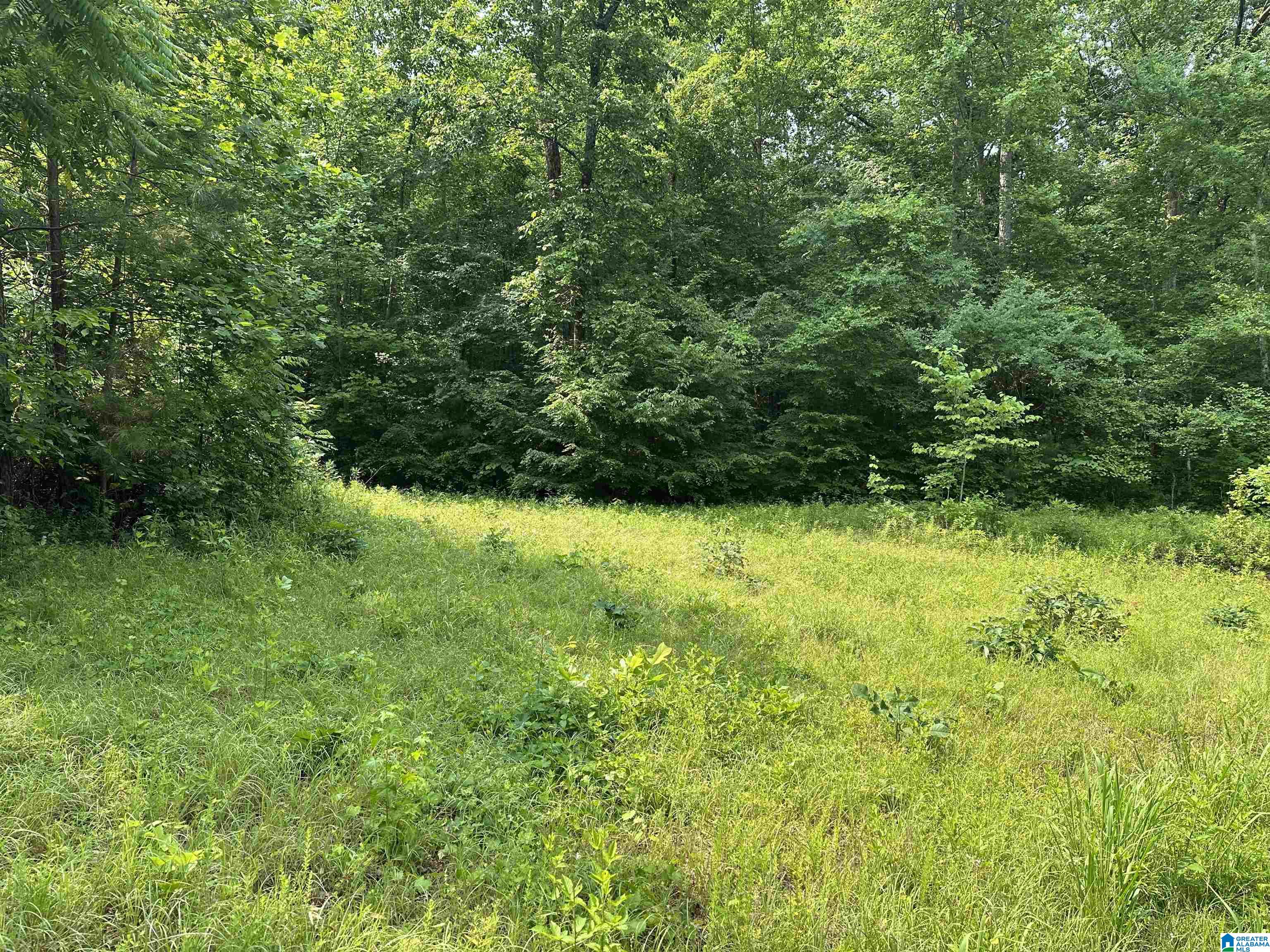 00 County Road 25 Property Photo 1