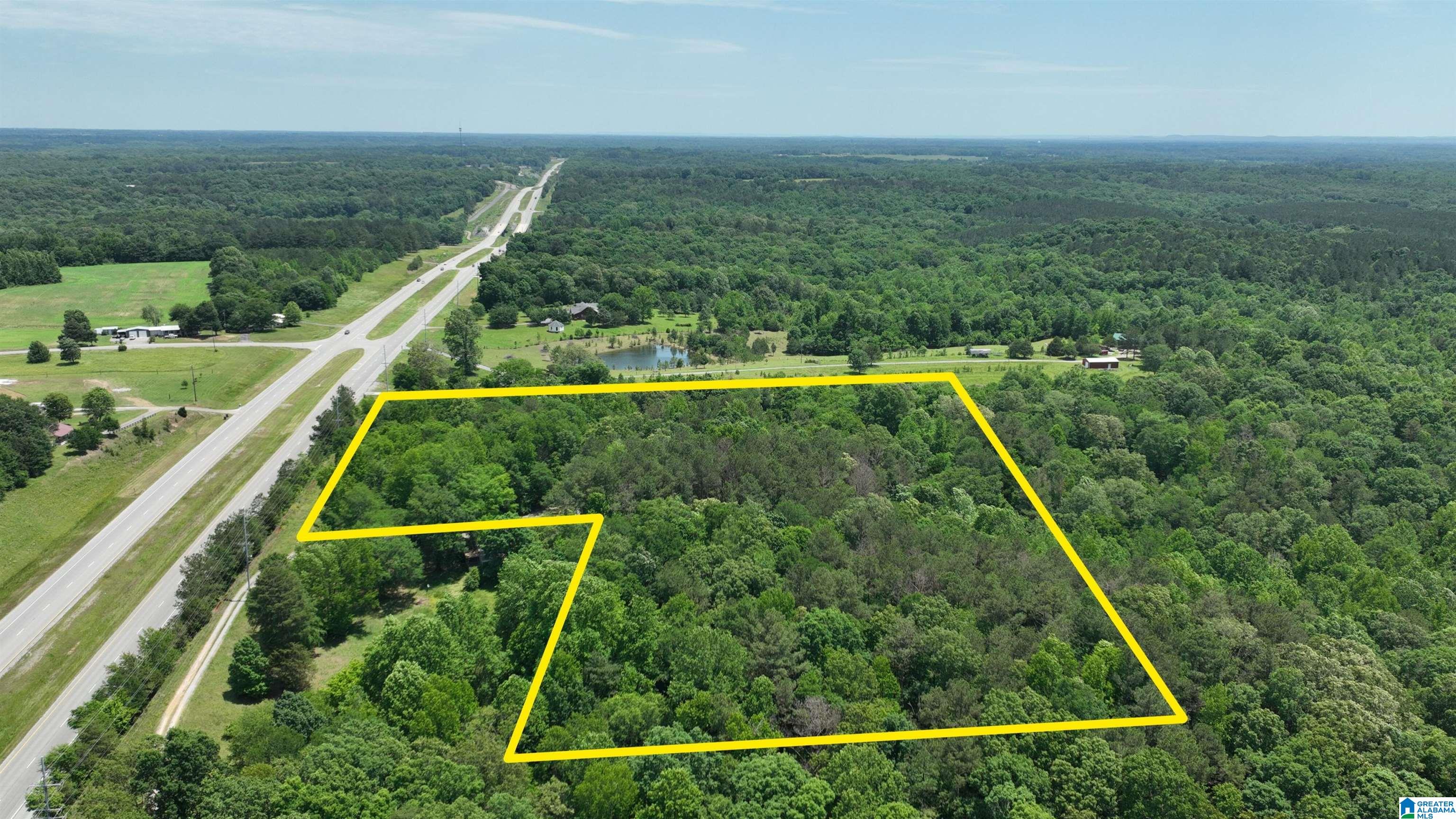 0 Alabama Highway 157 Property Photo 1