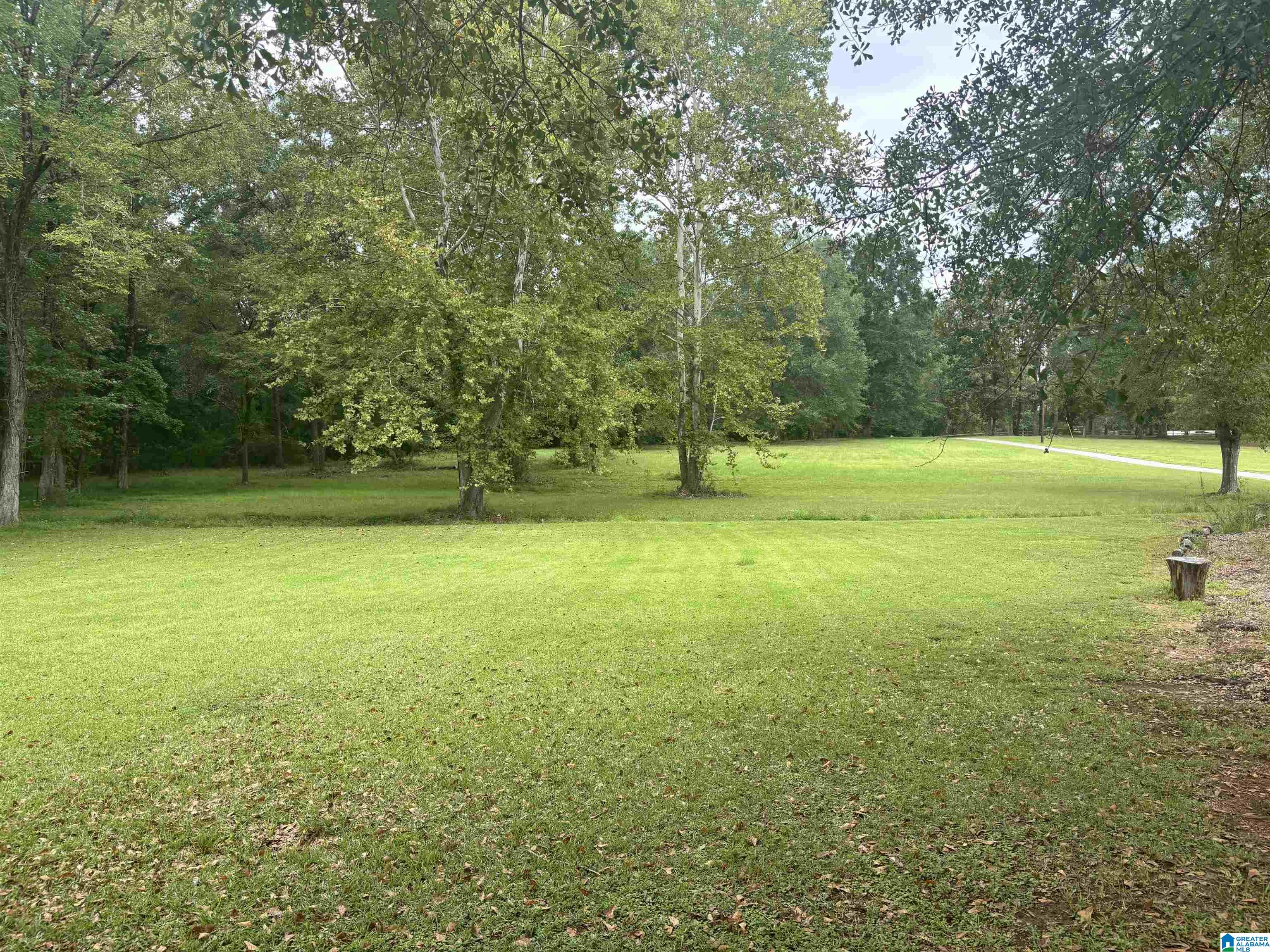 6000 Highway 61 Property Photo 9