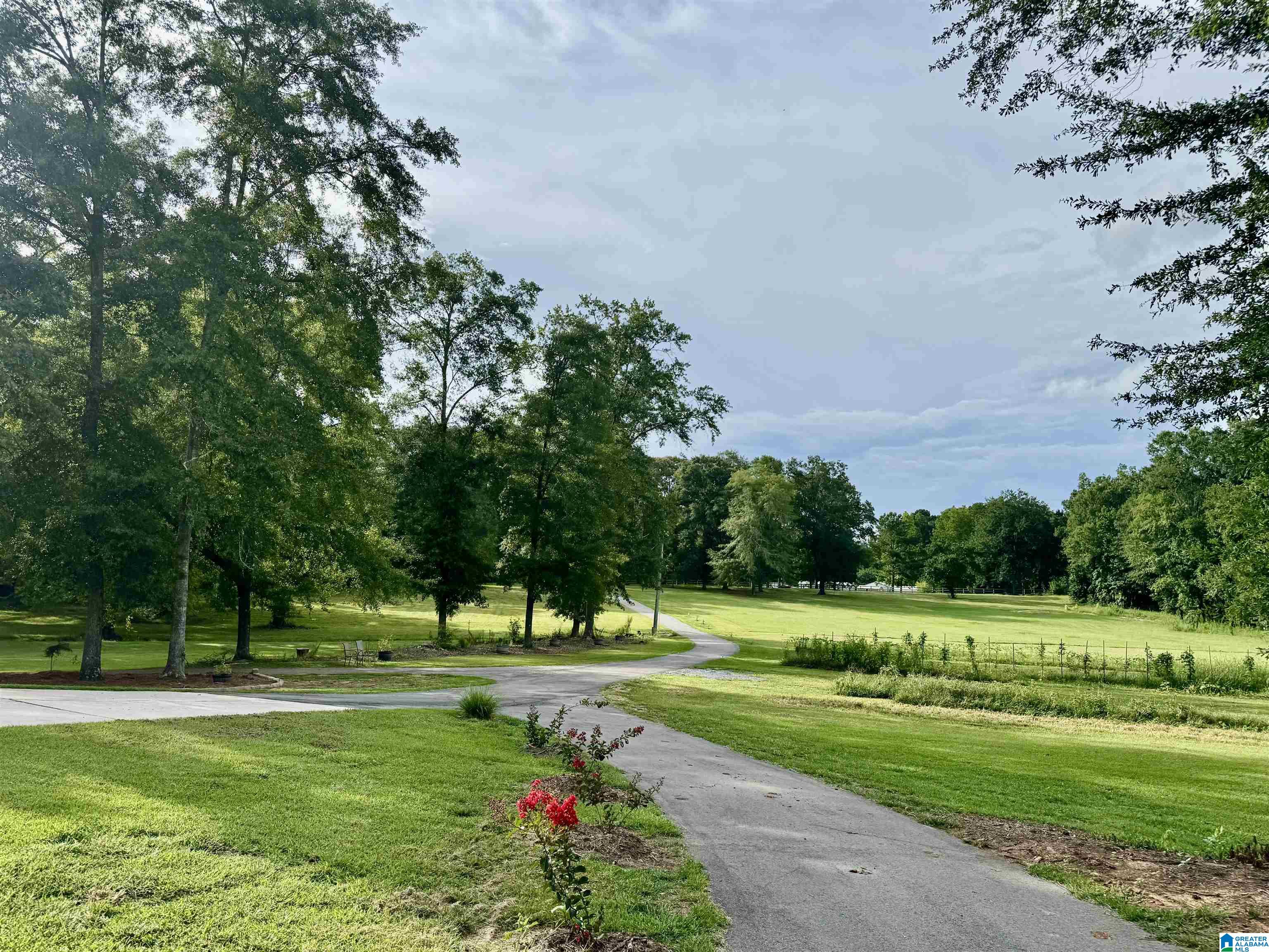 6000 Highway 61 Property Photo 11