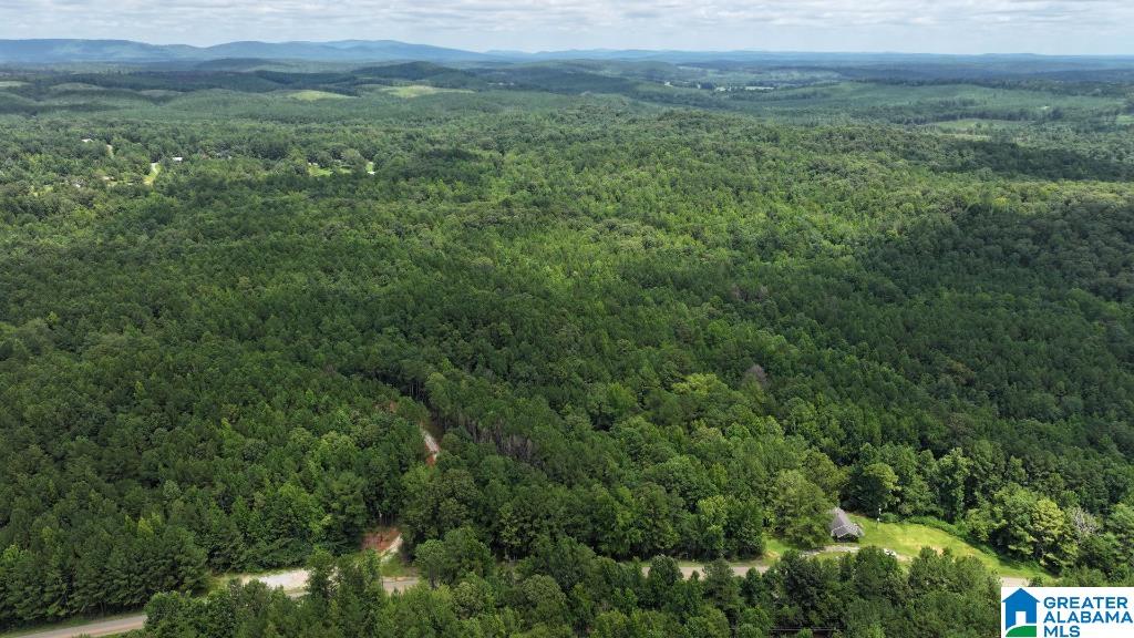 0 Coosa County Road 511 Property Photo 1