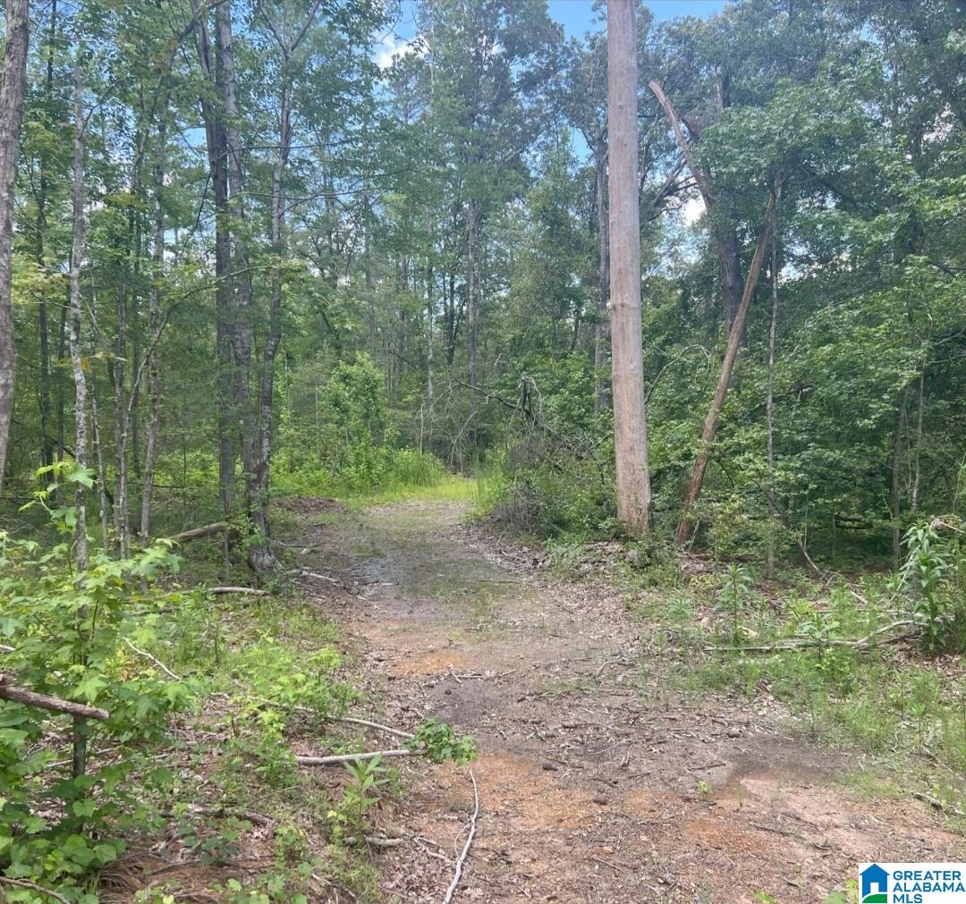 000 Fleming Road Property Photo 1