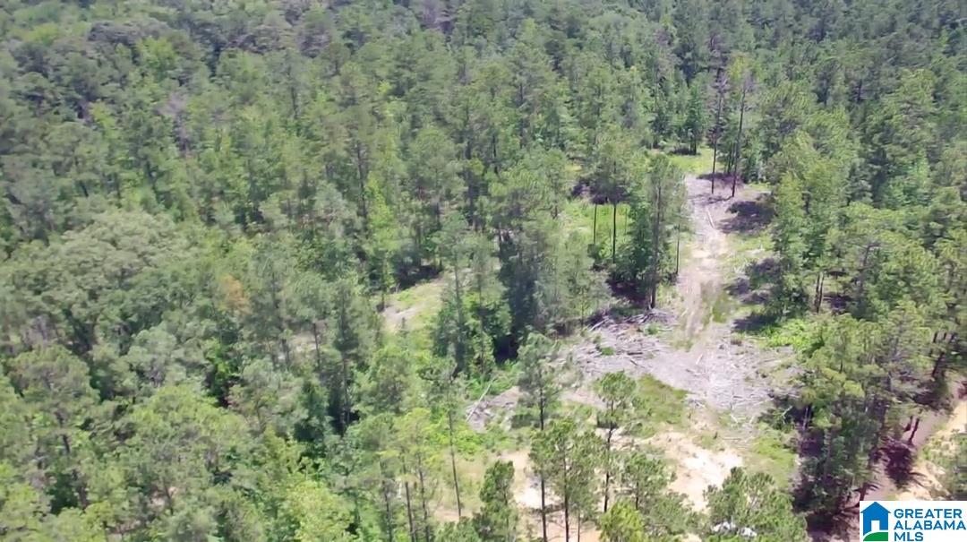 000 Fleming Road Property Photo 2