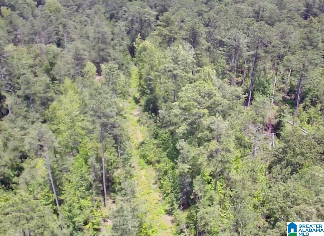 000 Fleming Road Property Photo 4