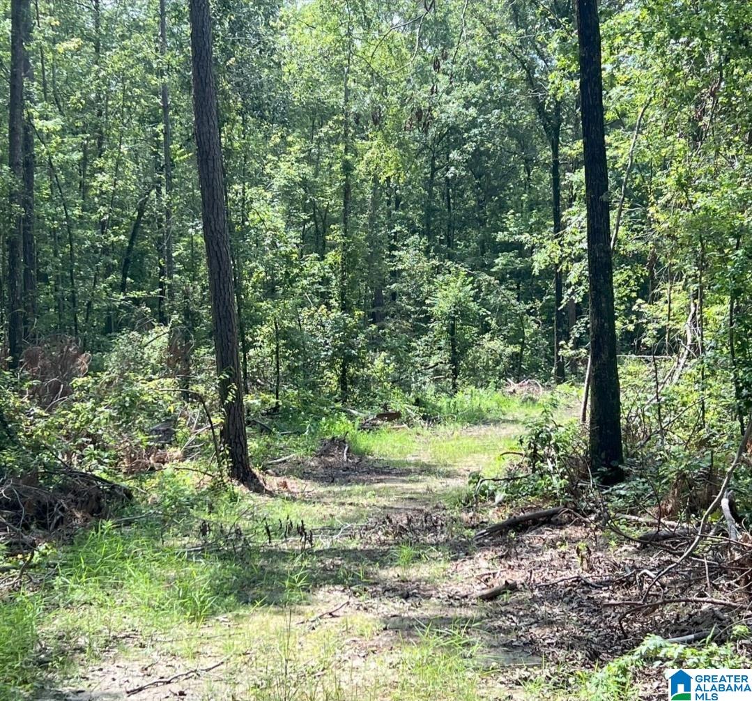 000 Fleming Road Property Photo 5