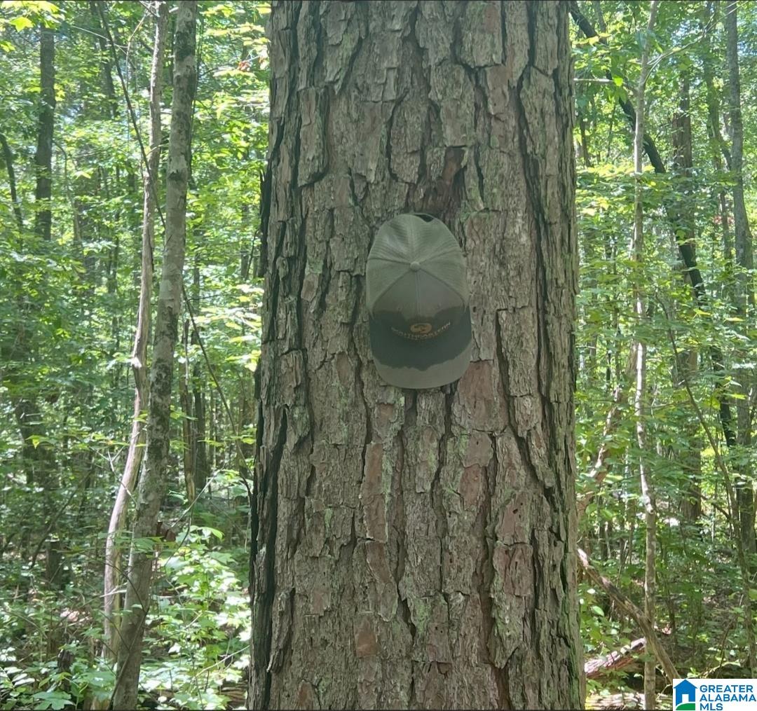 000 Fleming Road Property Photo 7