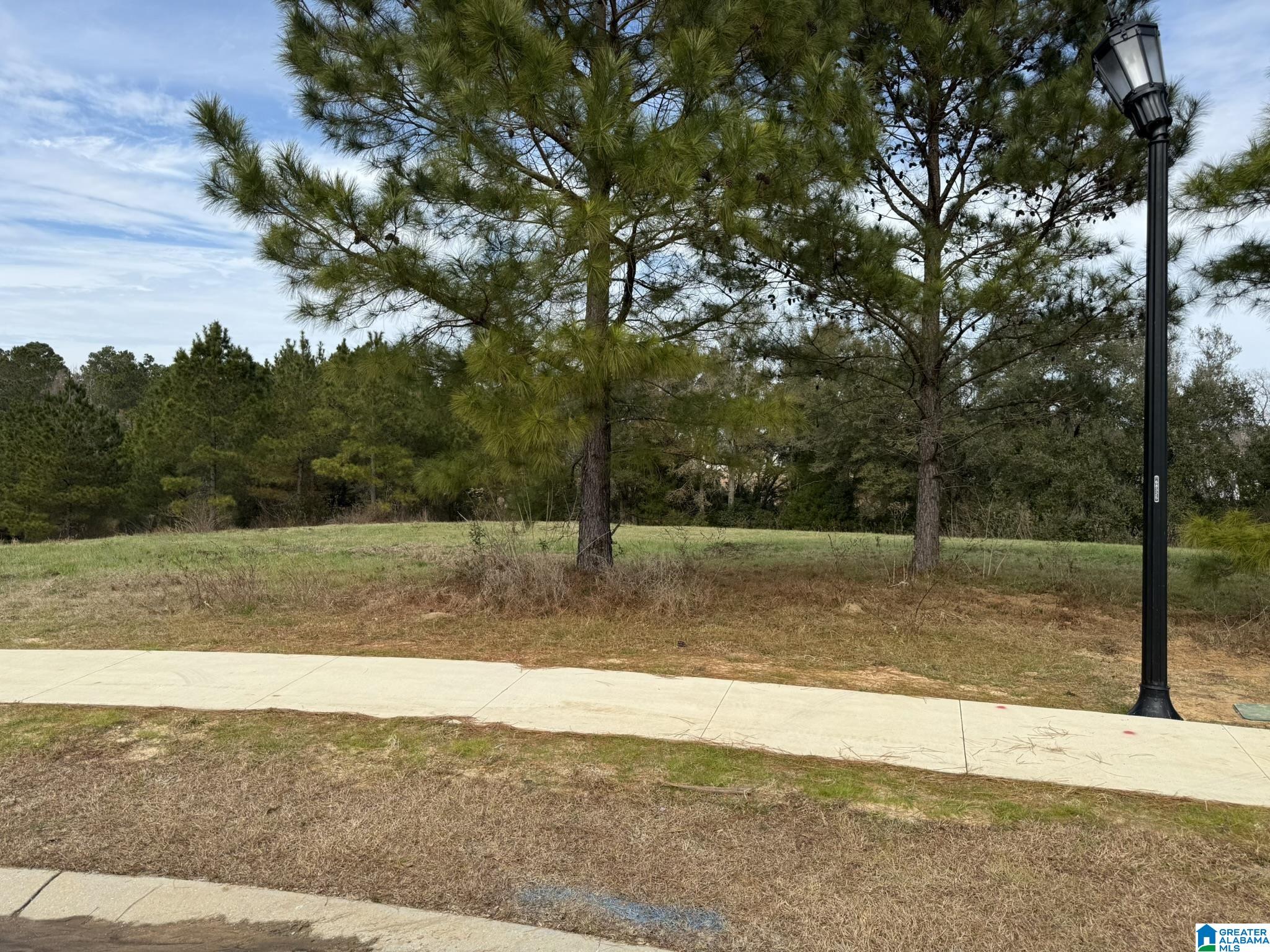 0 Castlands Court Property Photo 1