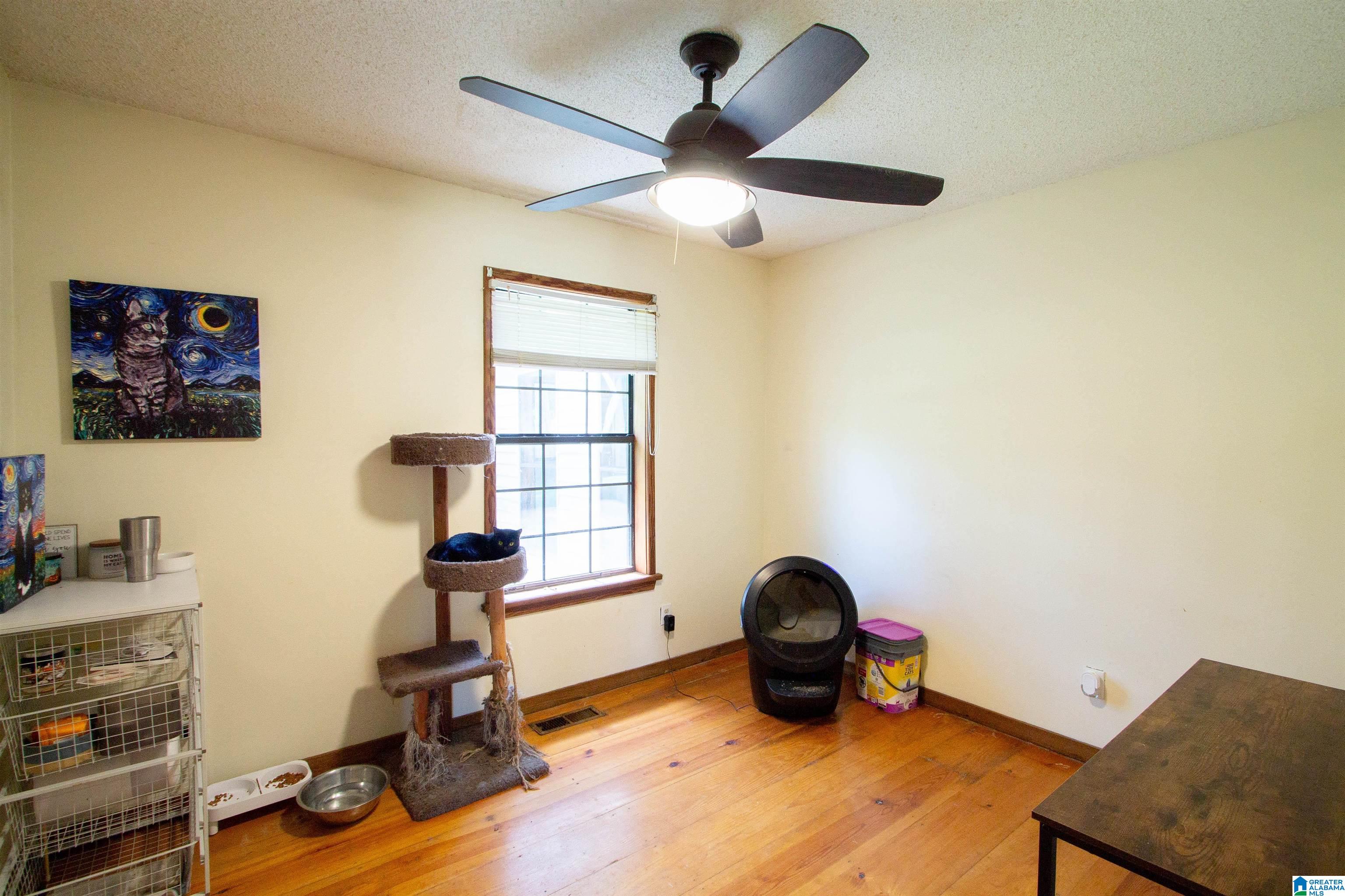 34 Raley Street Property Photo 21