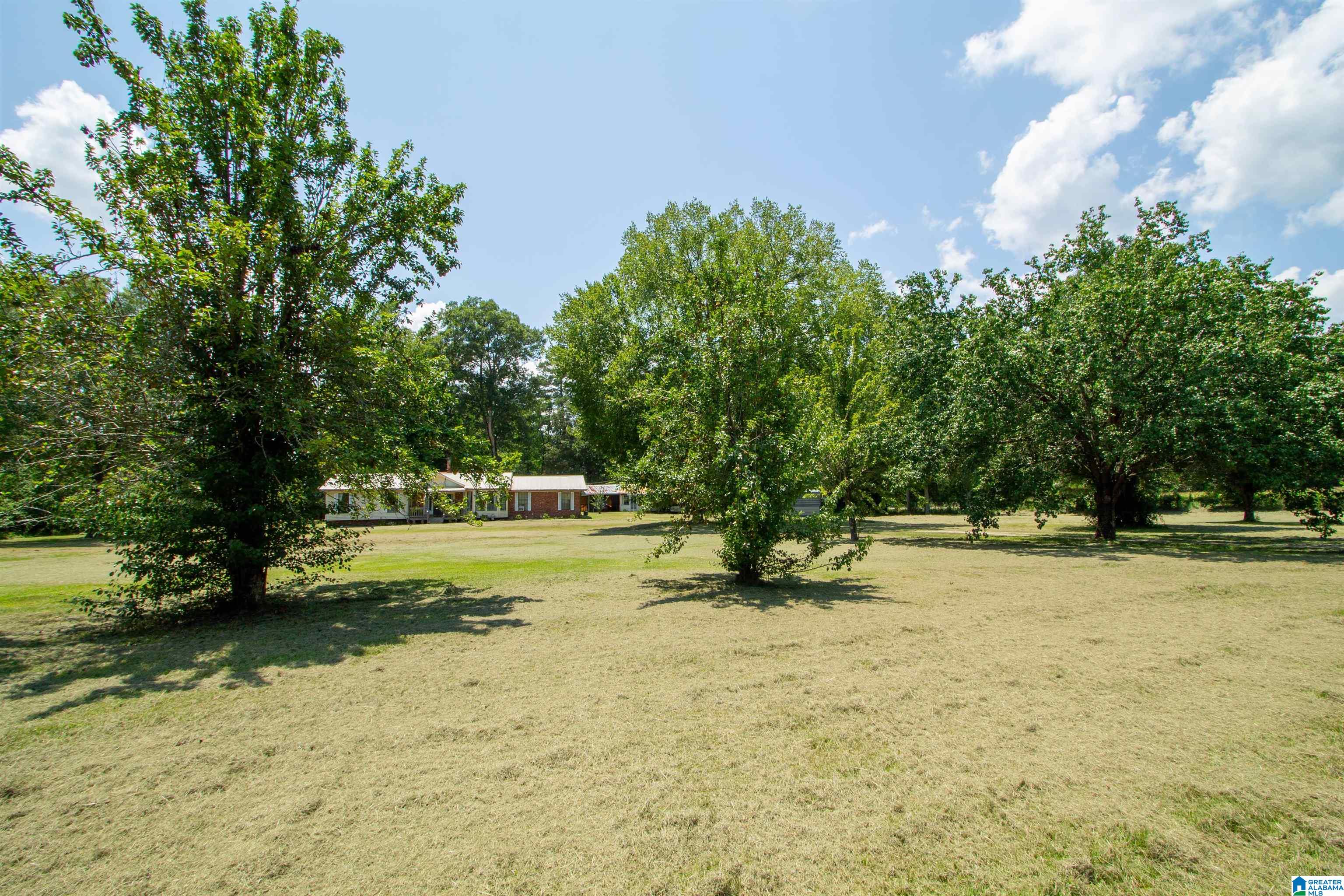 34 Raley Street Property Photo 37