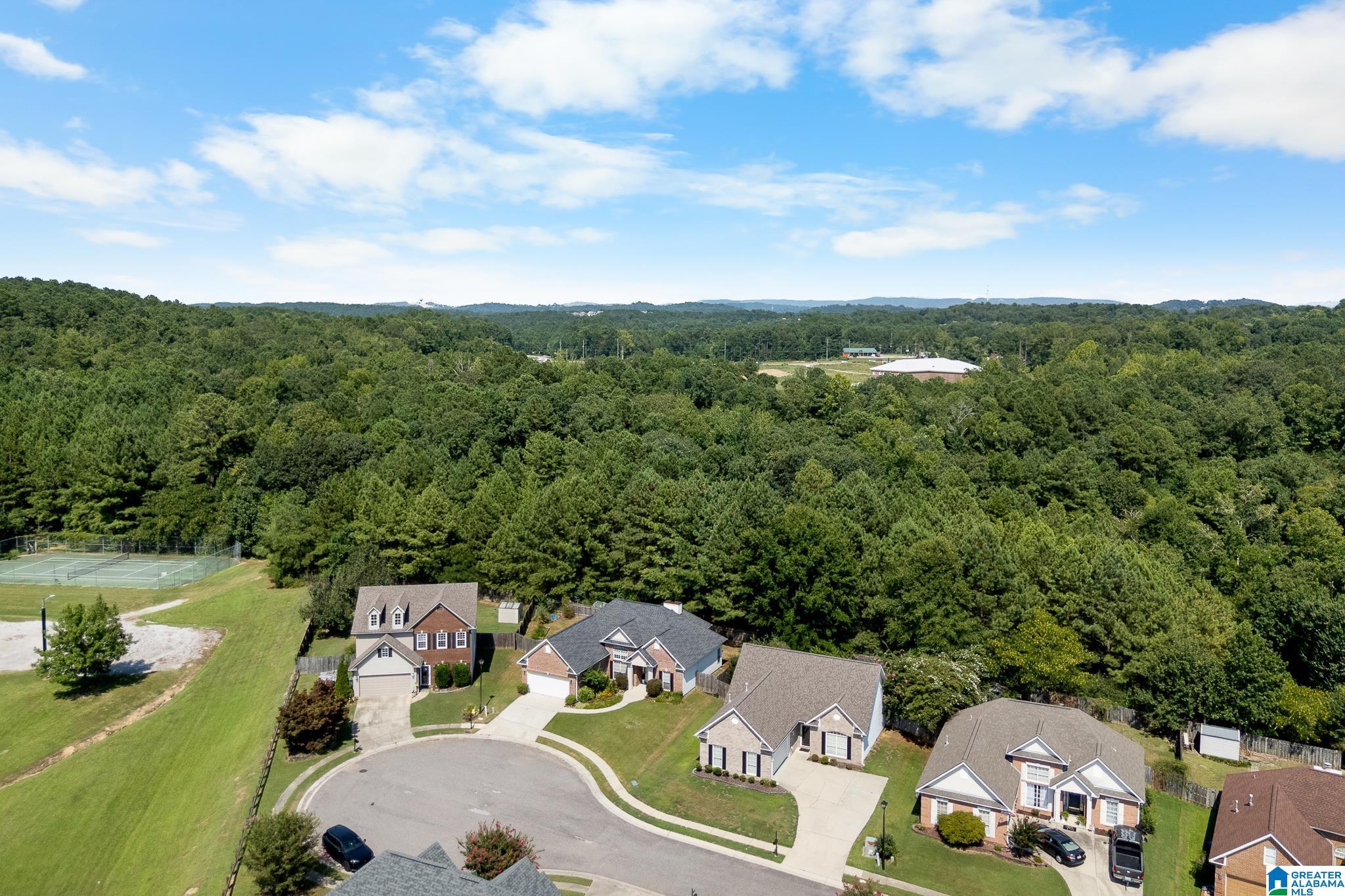 1342 Old Cahaba Cove Property Photo 36