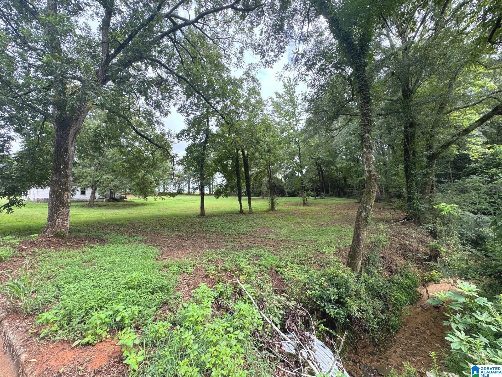 5th Avenue Sw Property Photo 1