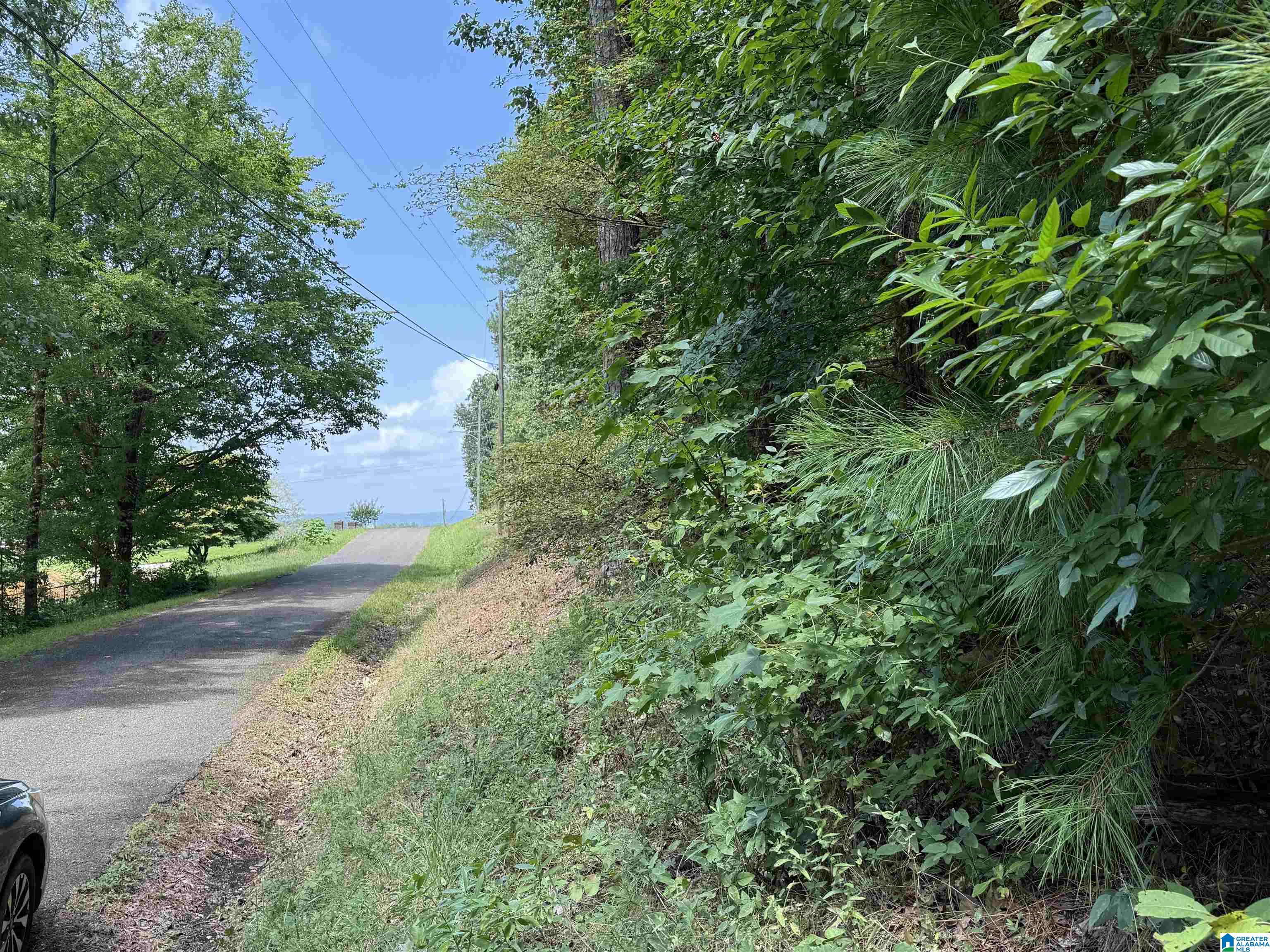 Lot 15 Davis Drive Property Photo 1