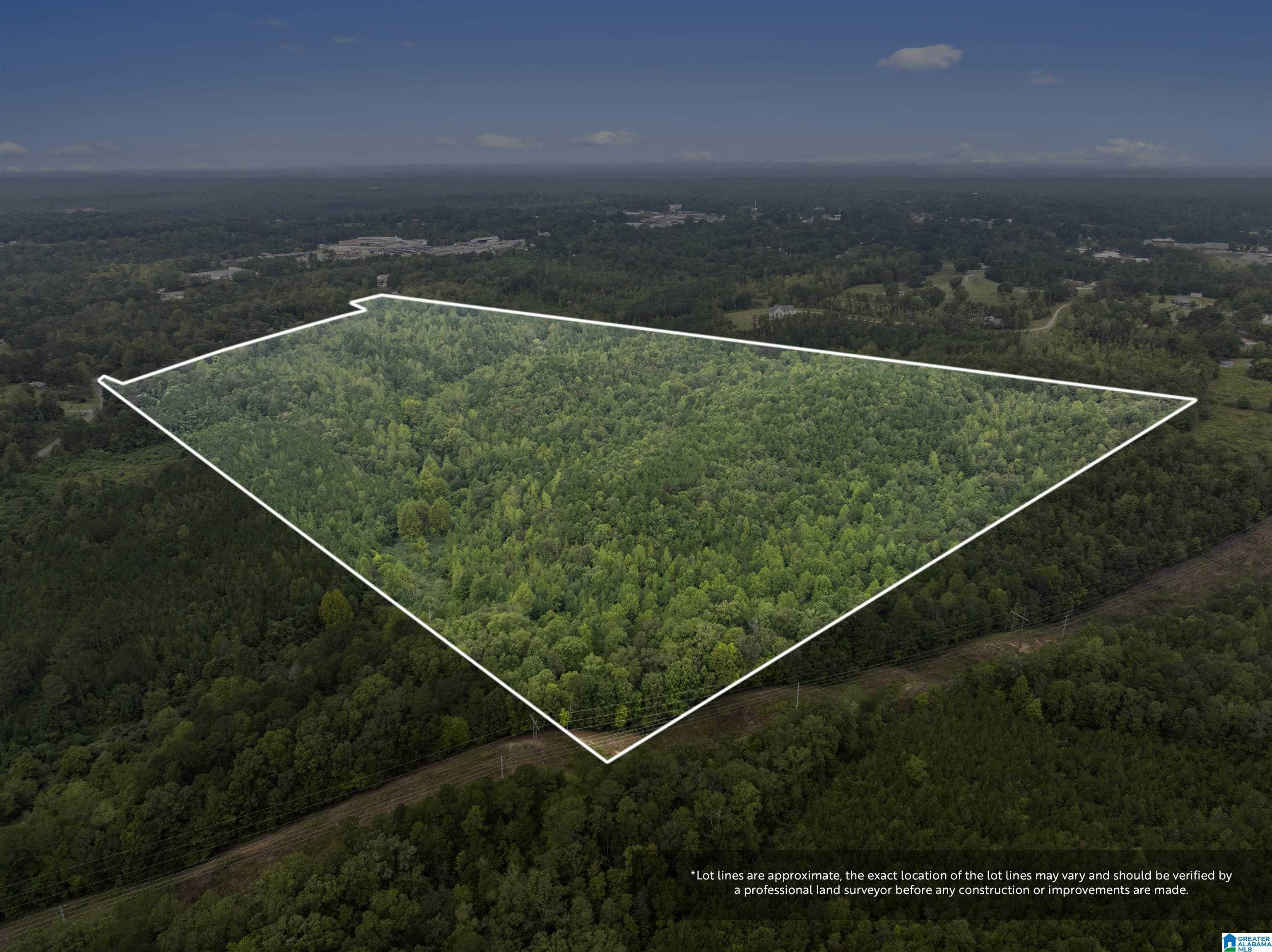 0 Beech Grove Road Property Photo 1