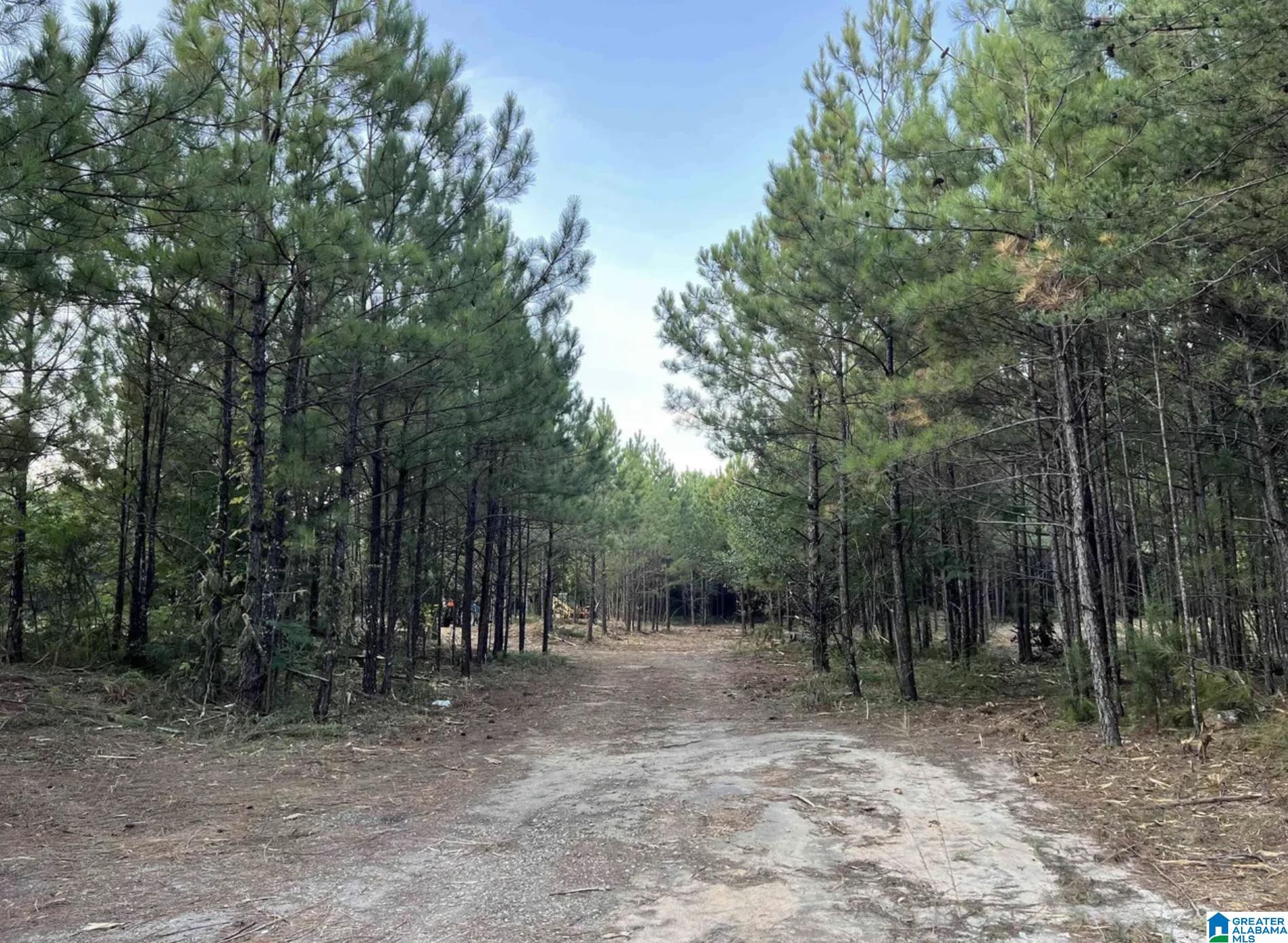 2210 Sweeney Hollow Road Property Photo 1