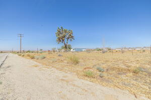 15035 Ave G # Vic Property Photo 25