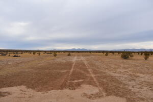 13050 Bellaire Avenue Property Photo 1