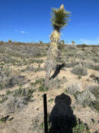 0 Fort Tejon Road Property Photo 23