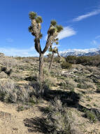 0 Fort Tejon Road Property Photo 24