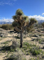 0 Fort Tejon Road Property Photo 25