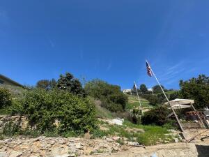 Maceo Street Property Photo