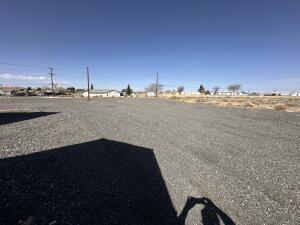 27201 Twenty Mule Team Road Property Photo 6
