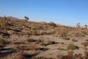 Vac Vic Rae Courson Ranch Property Photo