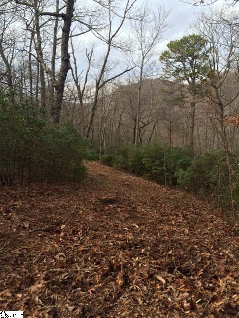 Panther Mountain Road Property Photo 1