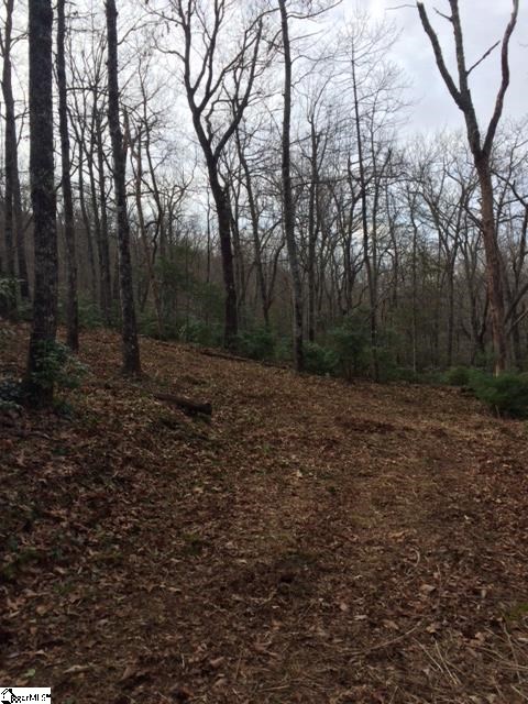 Panther Mountain Road Property Photo 3