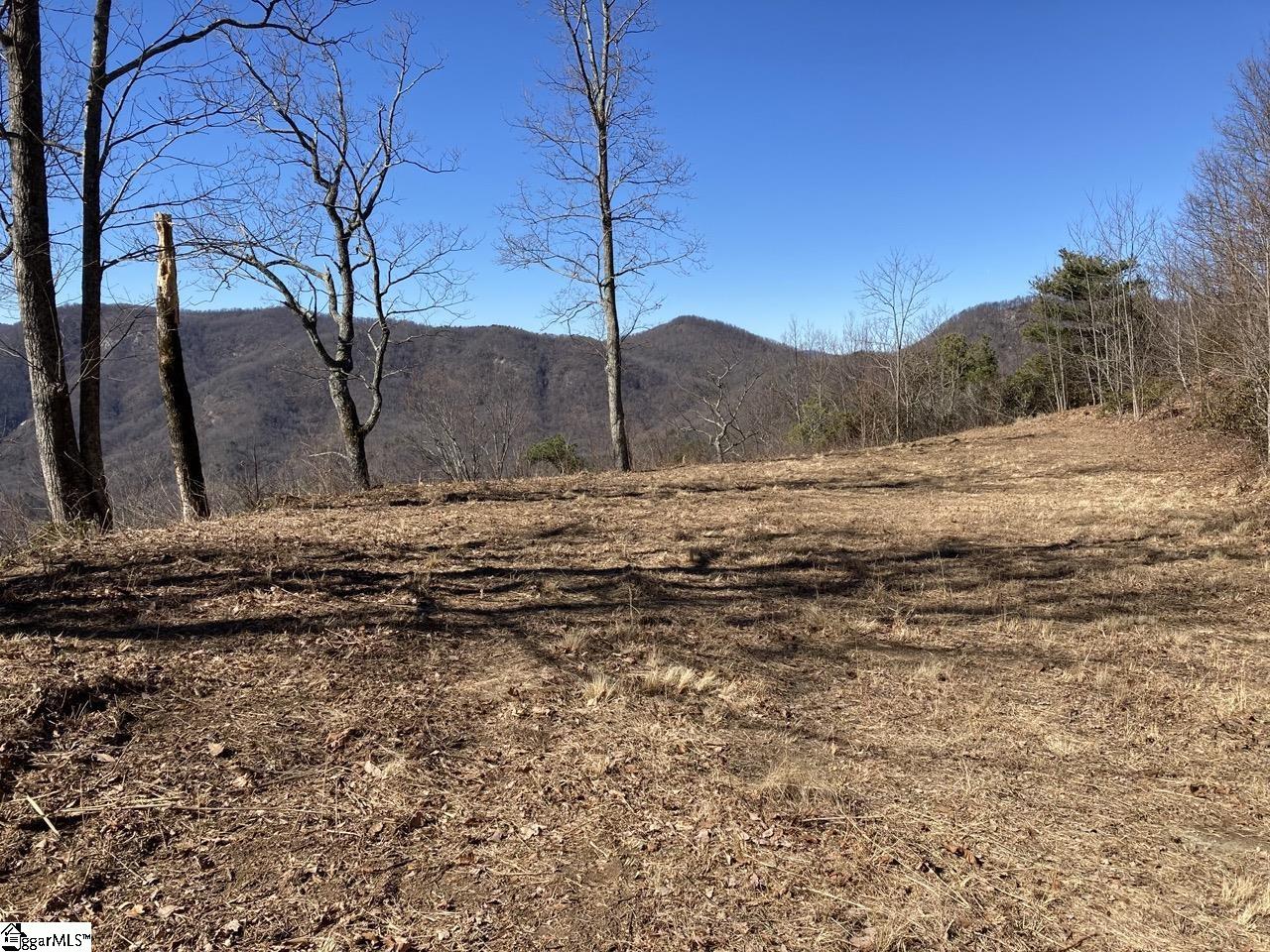 1506 Panther Park Trail Property Photo 4