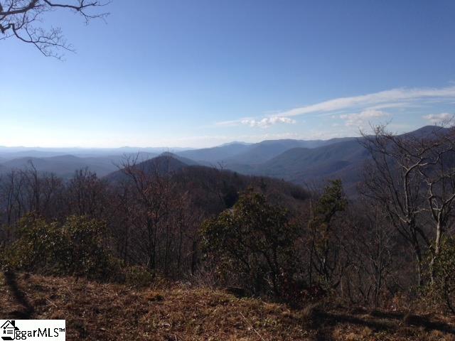 1506 Panther Park Trail Property Photo 5