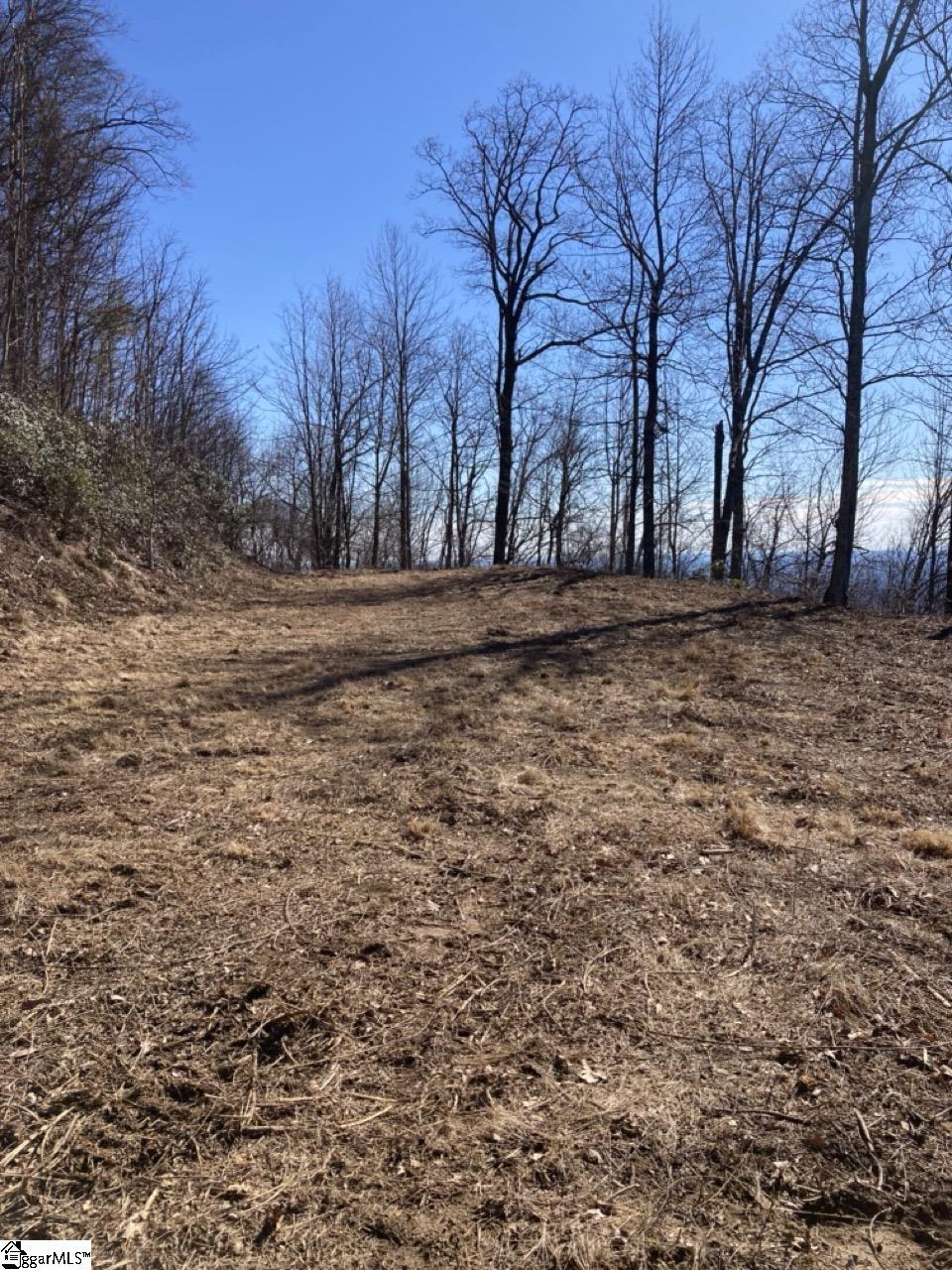 1506 Panther Park Trail Property Photo 7