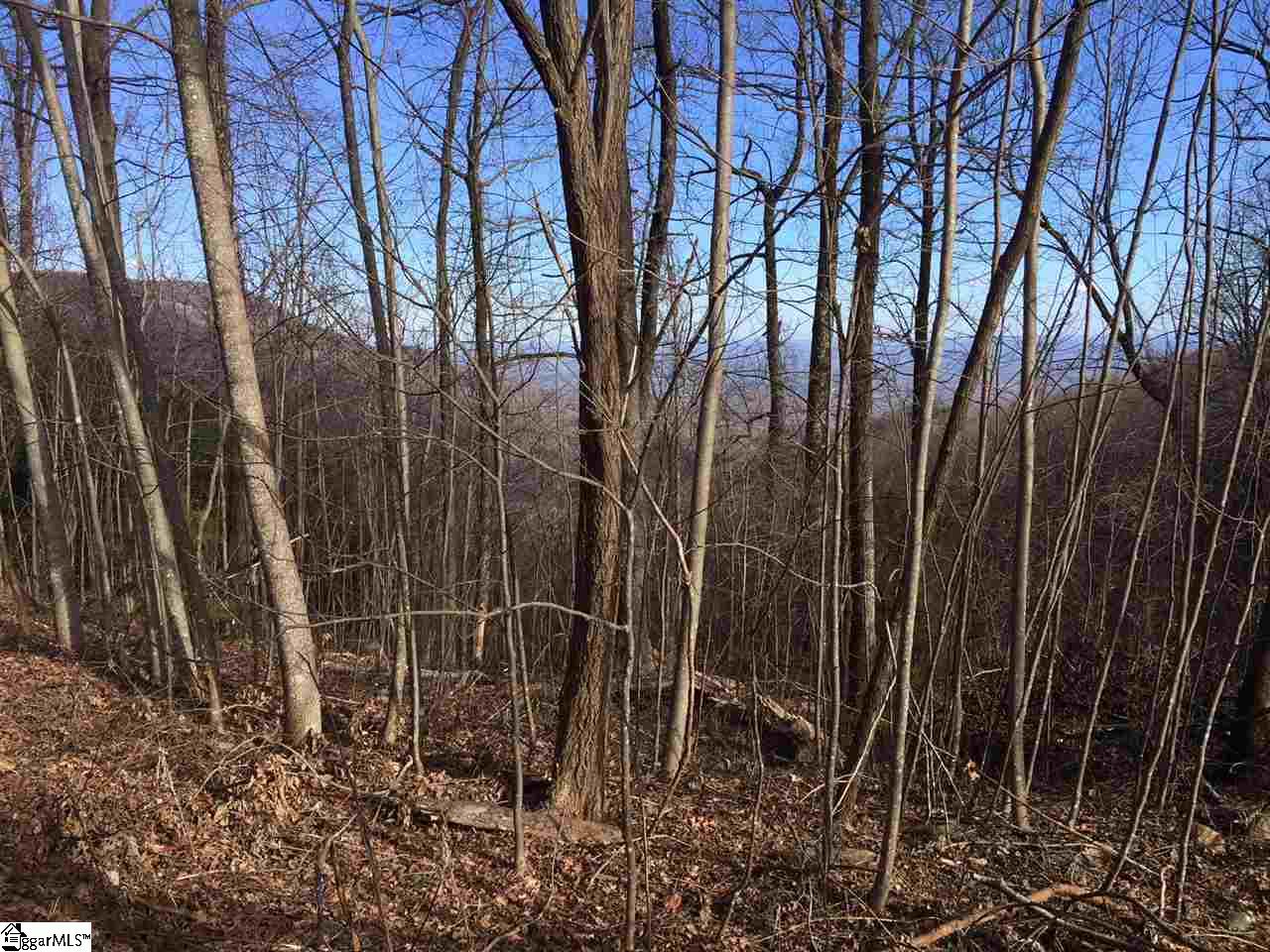 100 Deep Haven Lane Property Photo 2