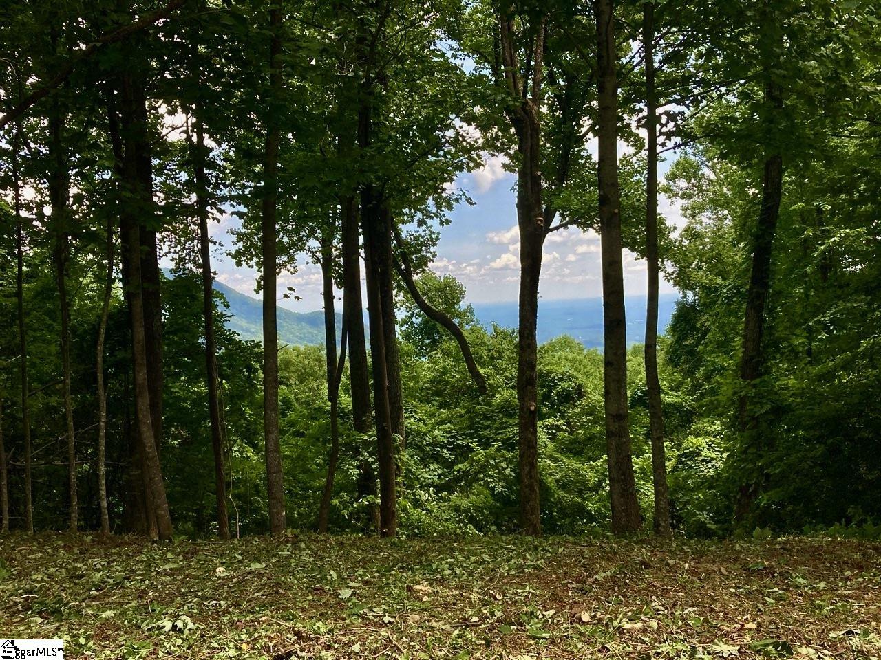 100 Deep Haven Lane Property Photo 3