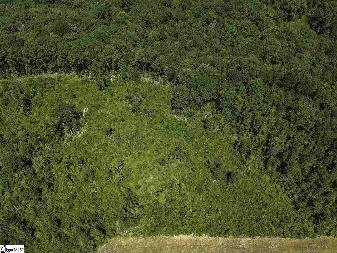 0 Roddy Road Property Photo 11