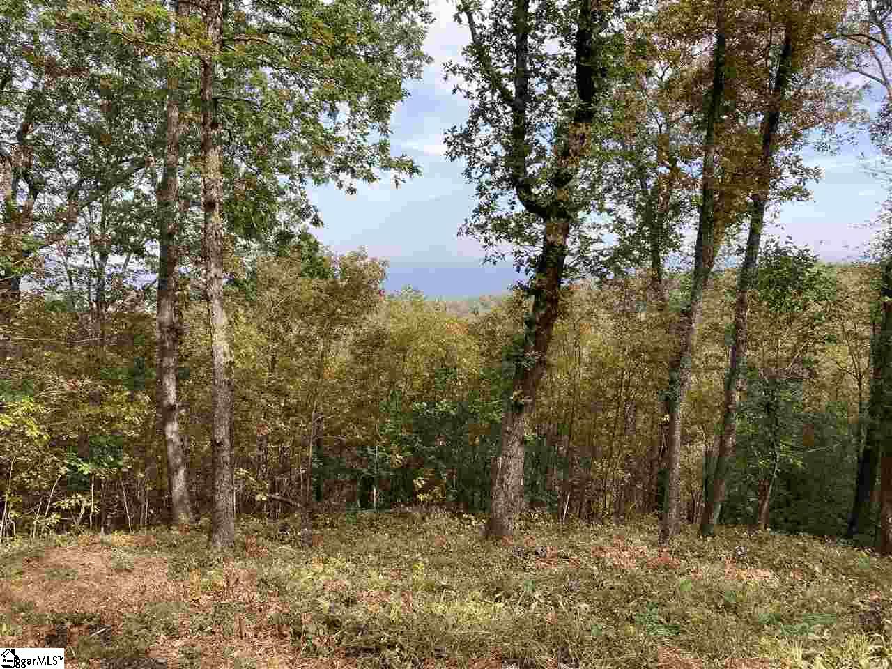 215 Yellowroot Lane Property Photo 2