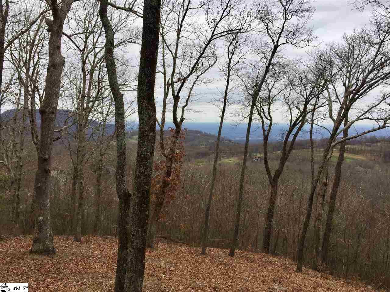 215 Yellowroot Lane Property Photo 3