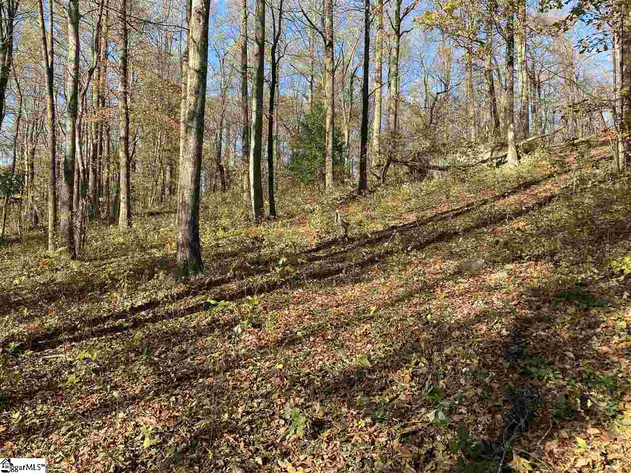 194 Catnip Trail Property Photo 2