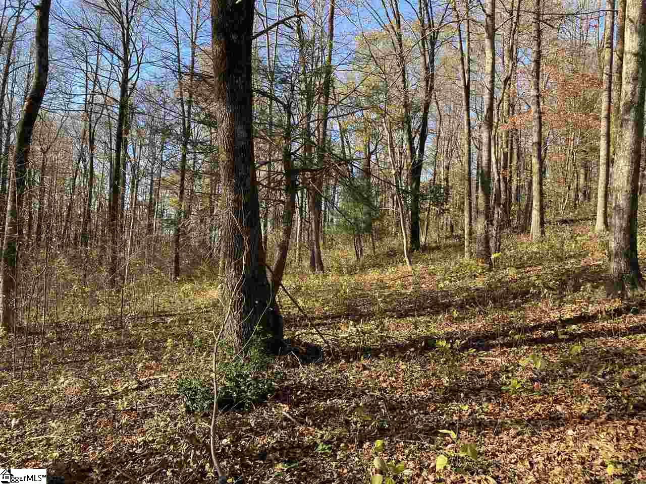 194 Catnip Trail Property Photo 3