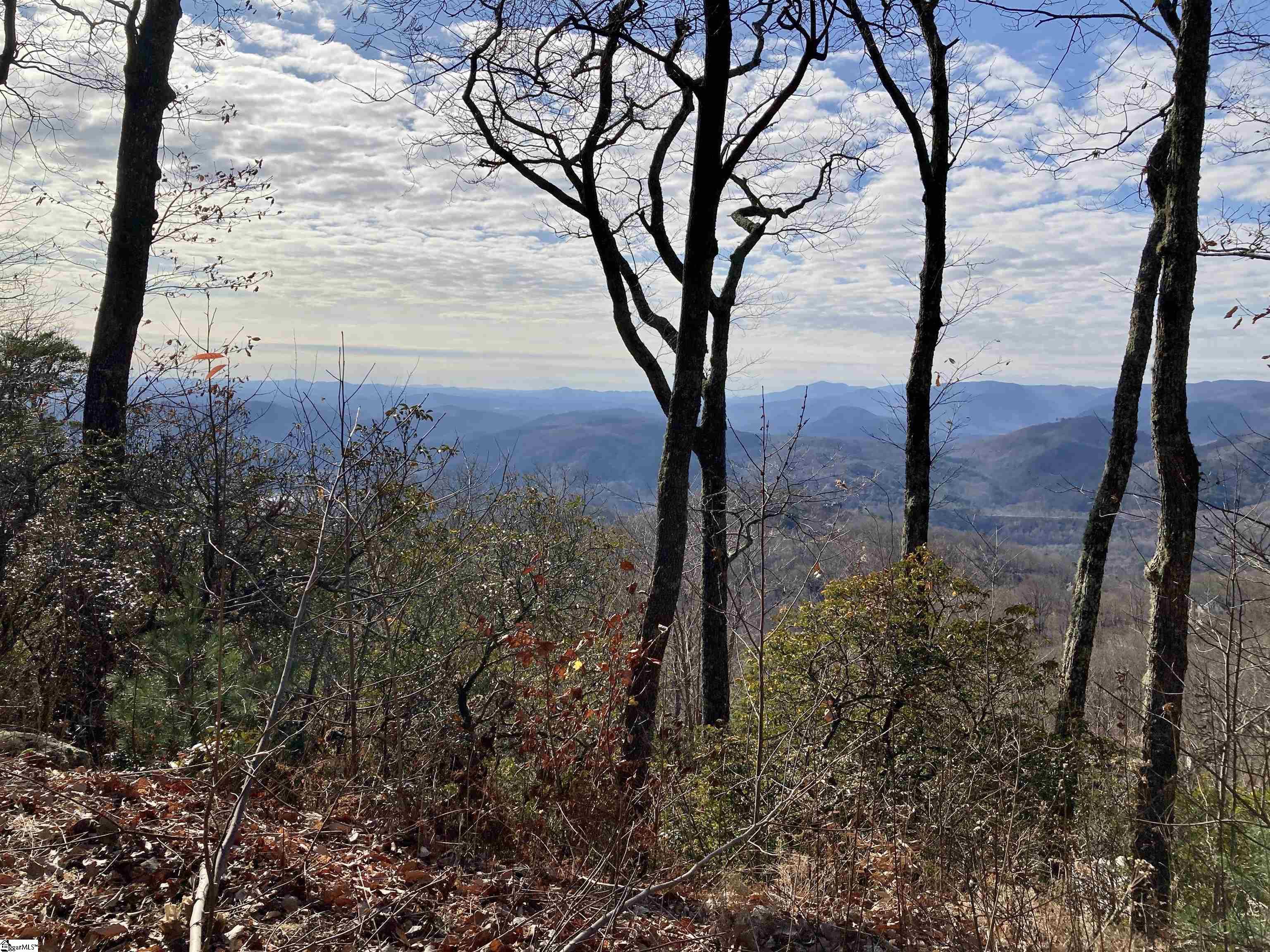 207 Night Crest Trail Property Photo 6